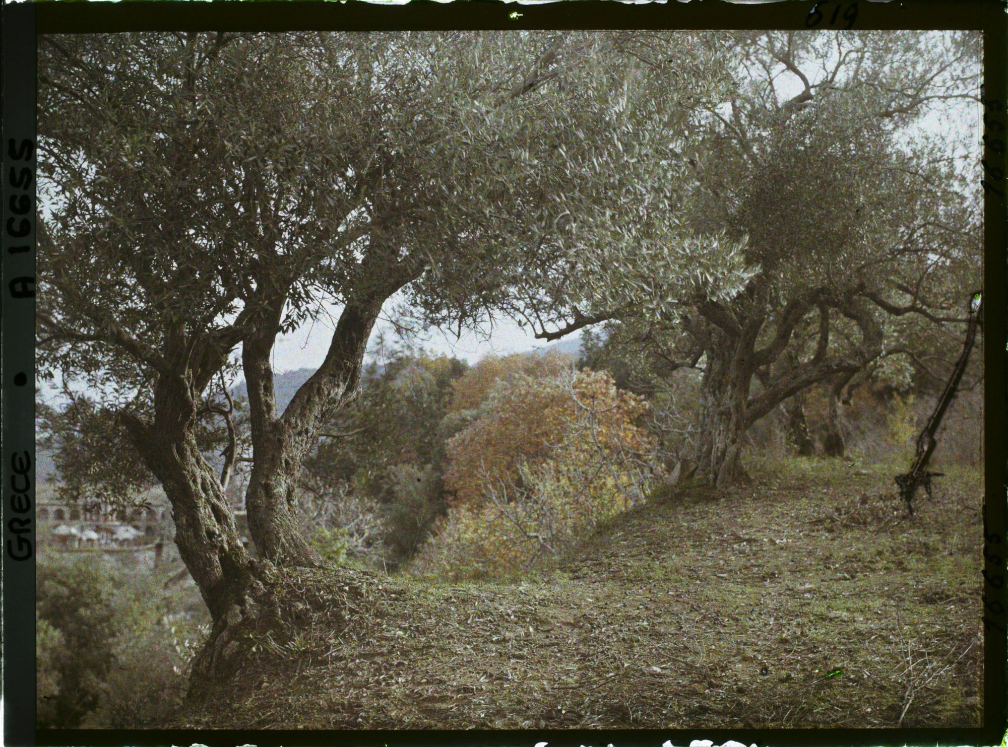 Image représentant Turquie, Mont Athos, Stravonikita, Paysage à Couthoumousson