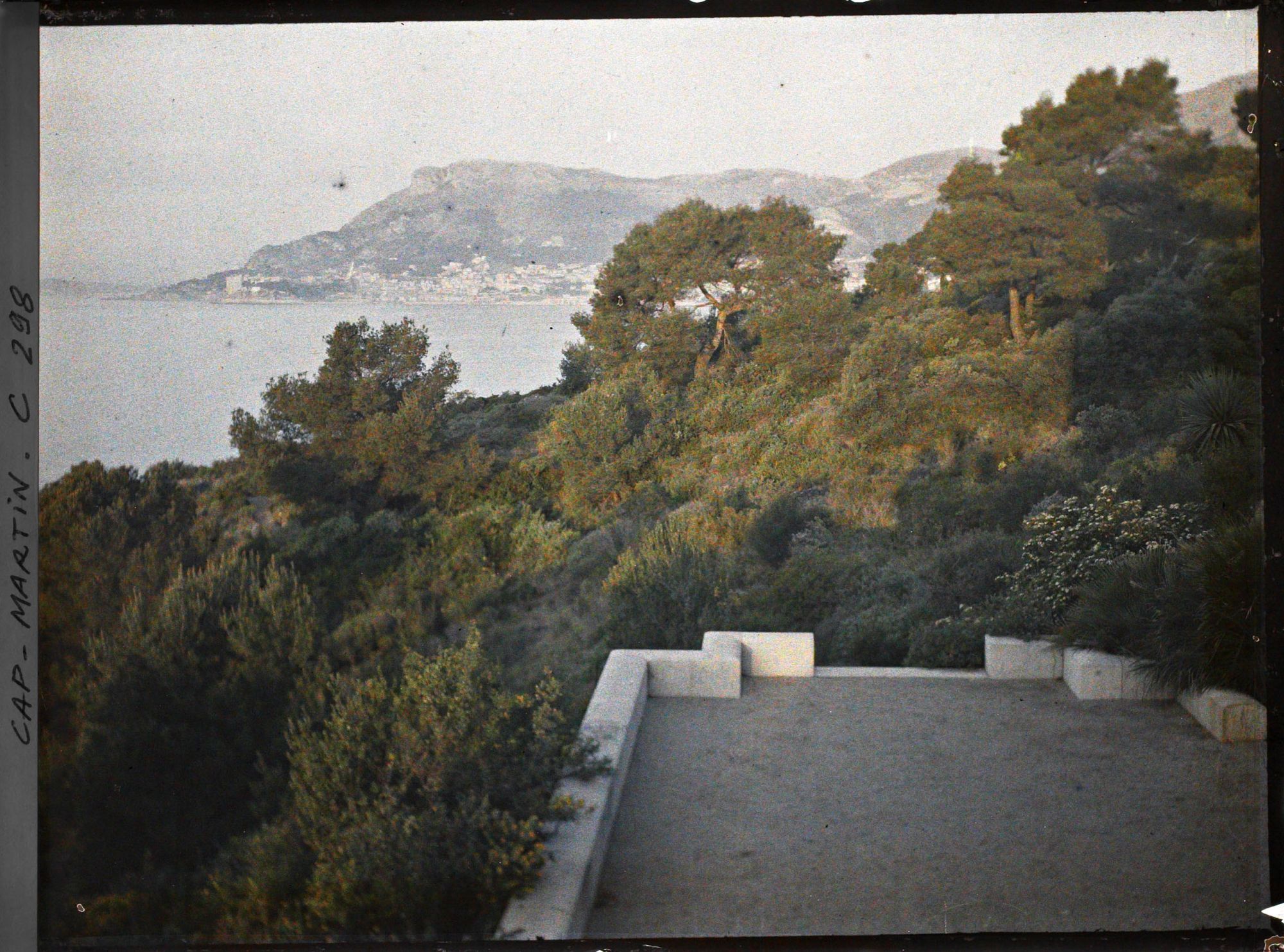 Image représentant Arbustes en fleurs situés à l'ouest de la terrasse inférieure de la villa Kahn, dite villa Zamir