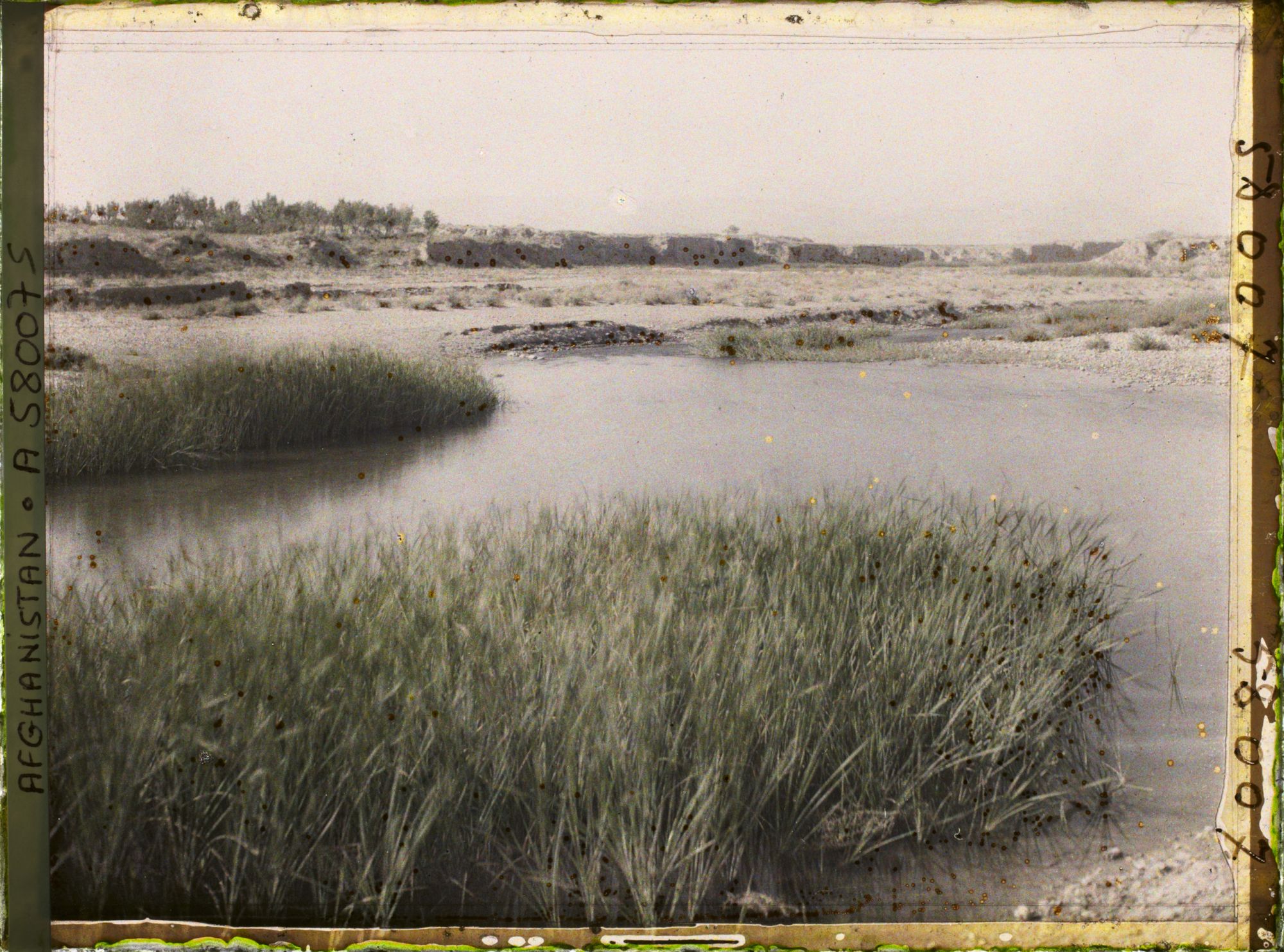 Image représentant Les berges du fleuve Tarnak