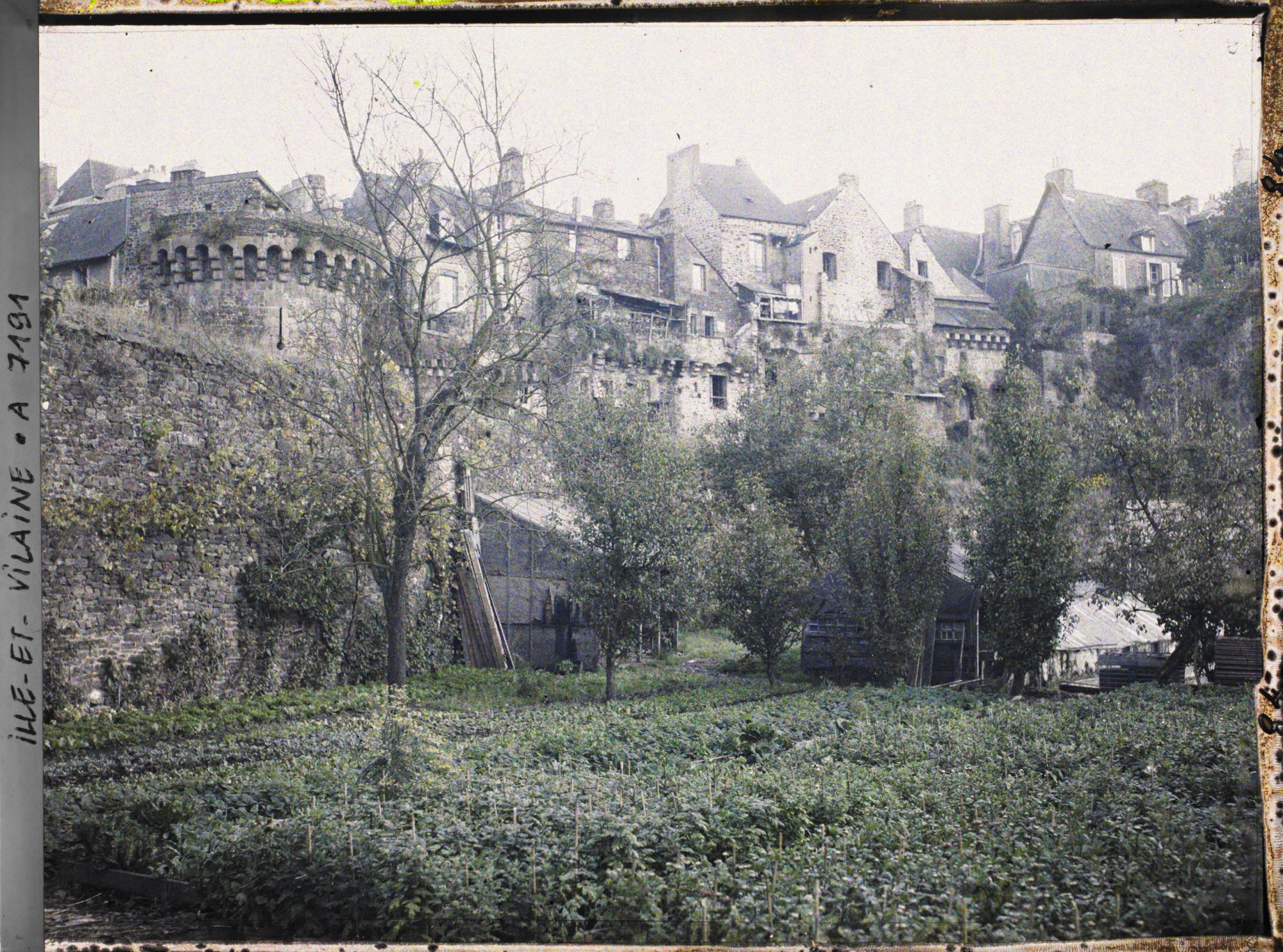 Image représentant Un potager au pied des remparts et des vieux quartiers
