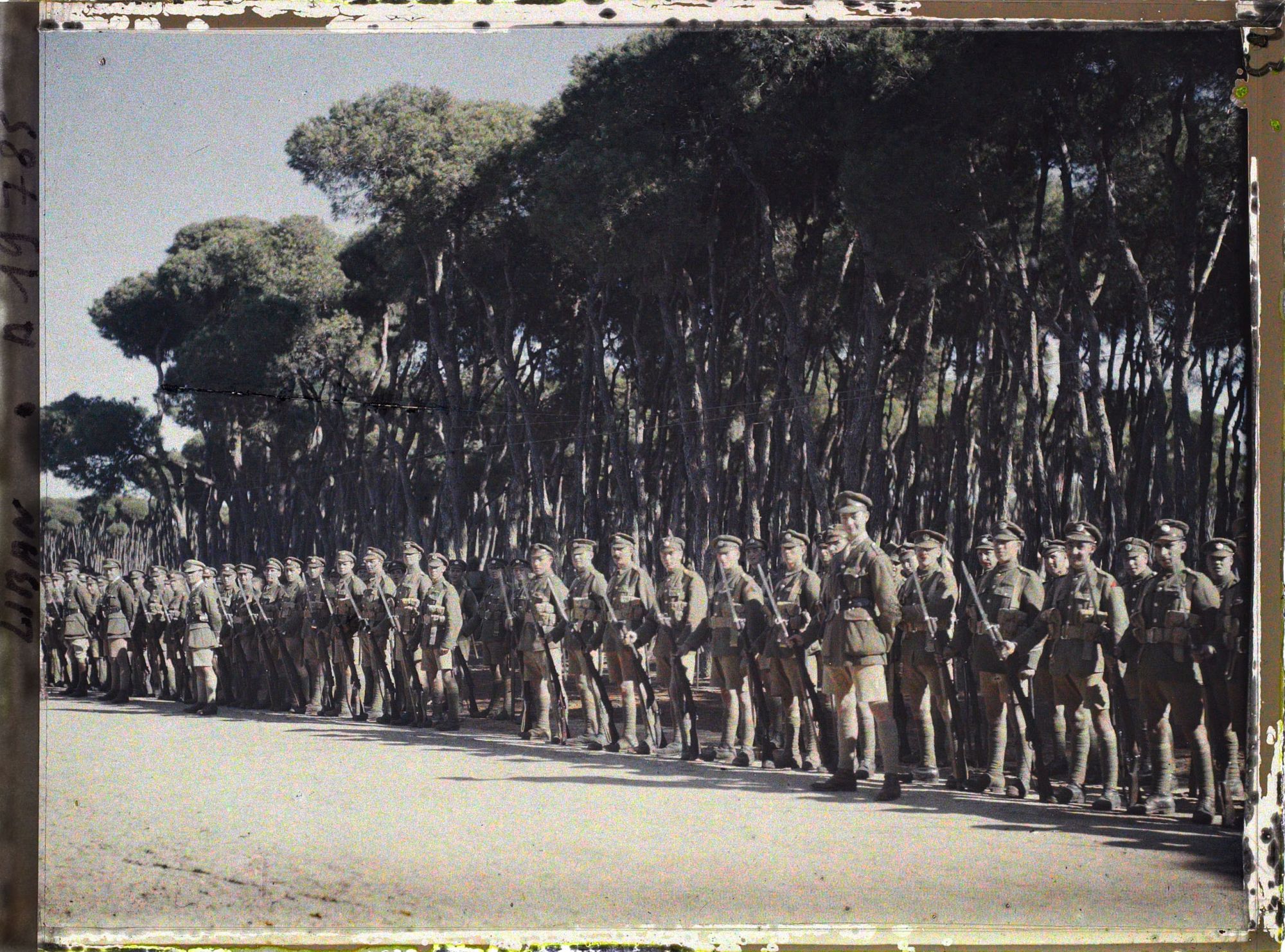 Image représentant Troupes britanniques alliées passées en revue par le général Gouraud, haut-commissaire de la République française en Syrie et au Liban