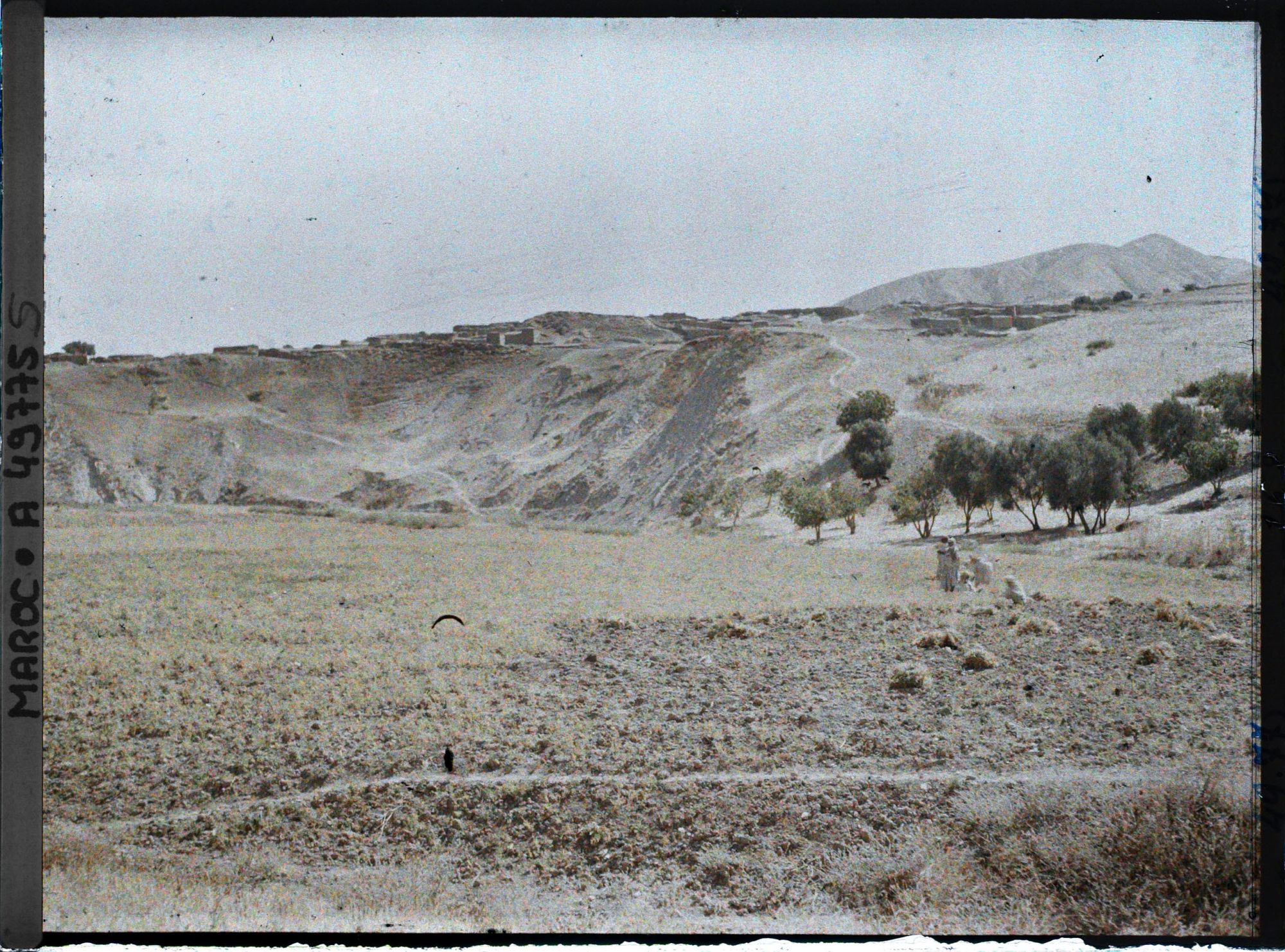Image représentant Vue de la ville prise depuis la route de Taza en direction du nord-est