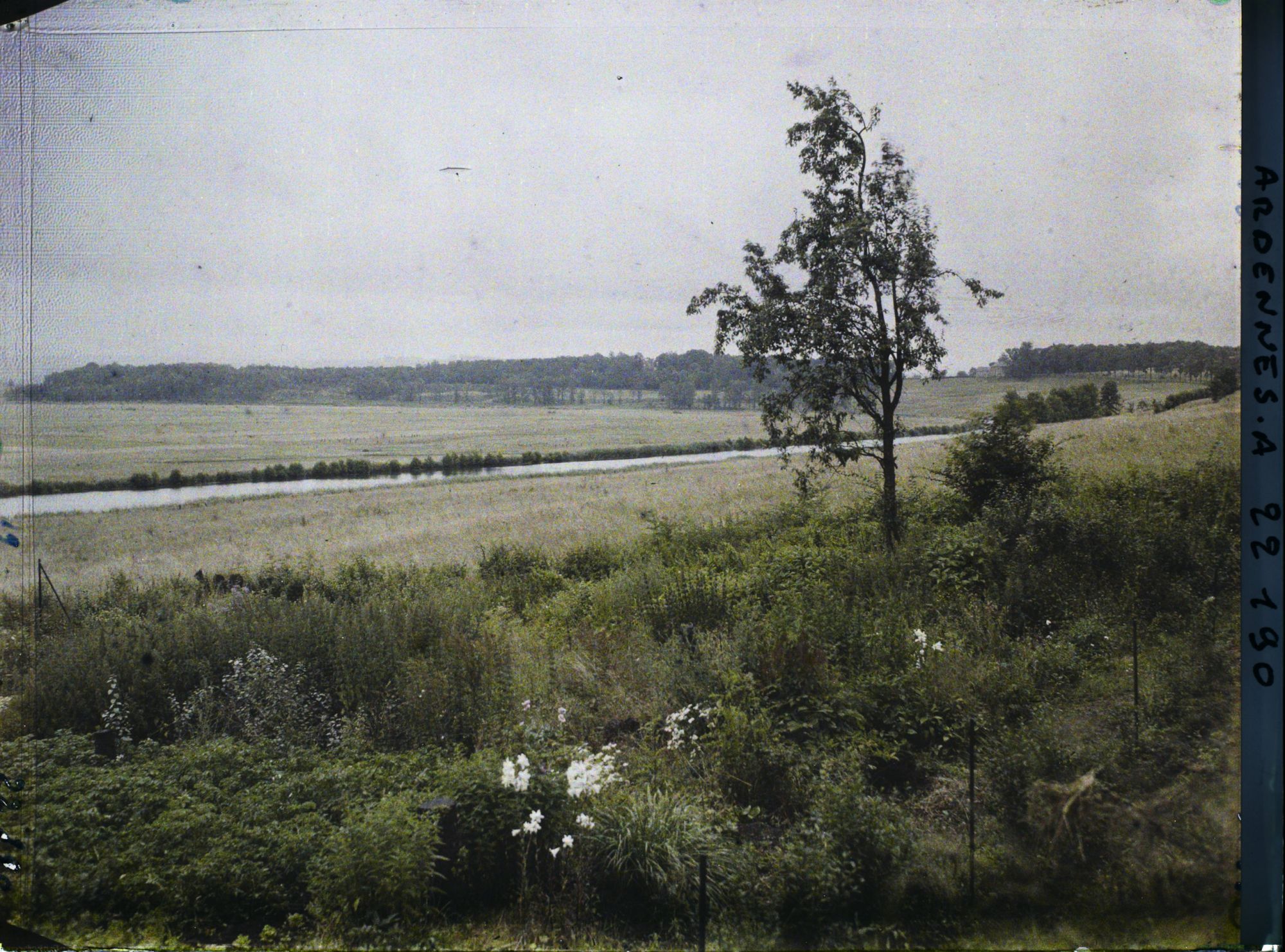 Image représentant Vue de la Vallée de la Meuse vers le bois de Bellevue