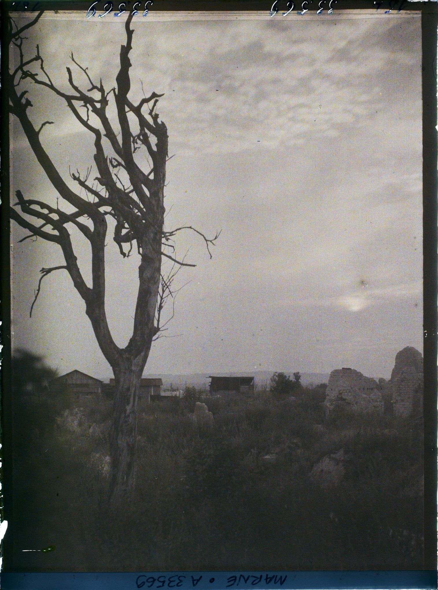 Image représentant France, Nauroy, Arbres morts au coucher du Soleil