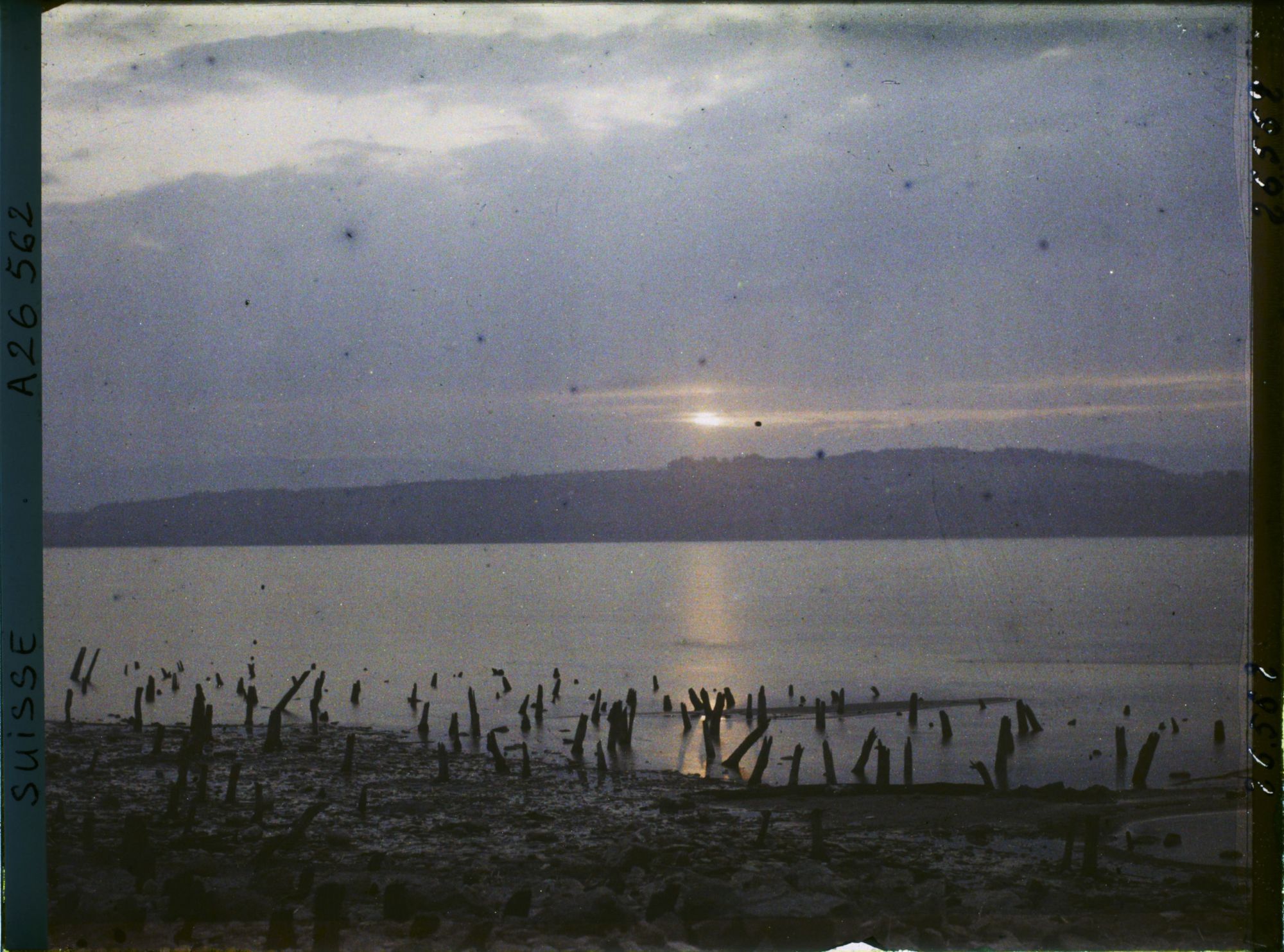 Image représentant Site palafittique préhistorique des Alpes, pieux en bois visibles lors de la baisse des eaux après la grande sécheresse de 1921. Coucher de soleil sur le lac de Morat