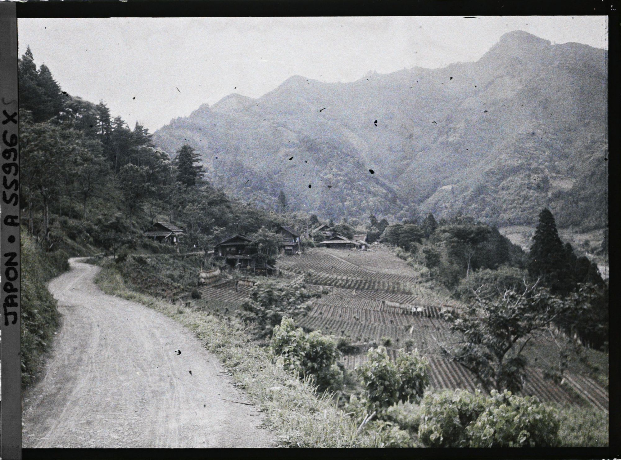Image représentant Vue probable de la vallée de la Tamagawa