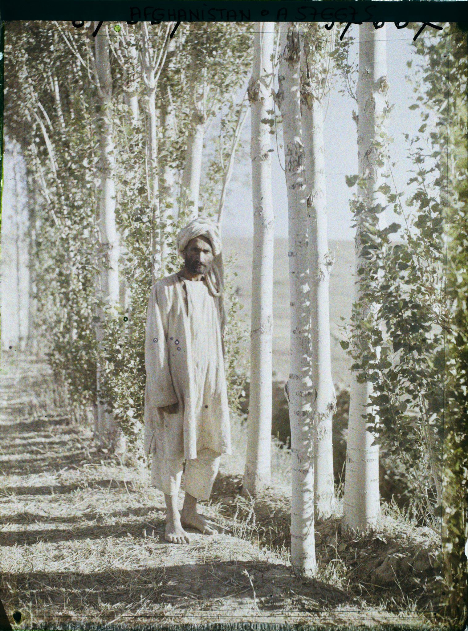 Image représentant Afghanistan,Argandé 25Kil. Sud de Kaboul, Type de paysan de la région