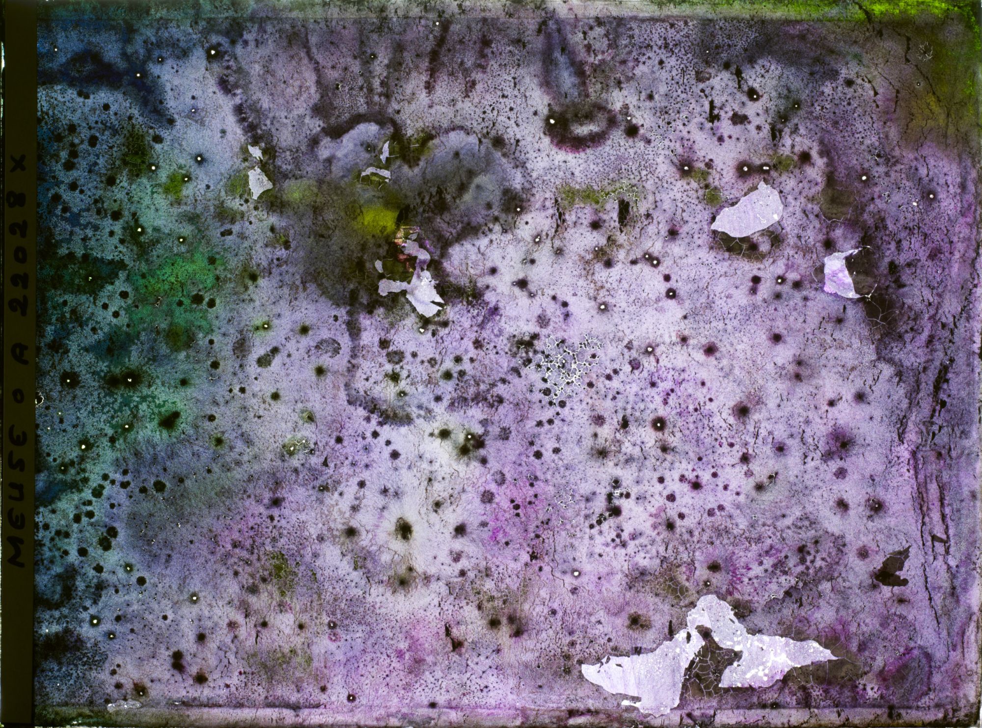 Image représentant Image illisible, plaque endommagée par l'eau (altérations d'époque)