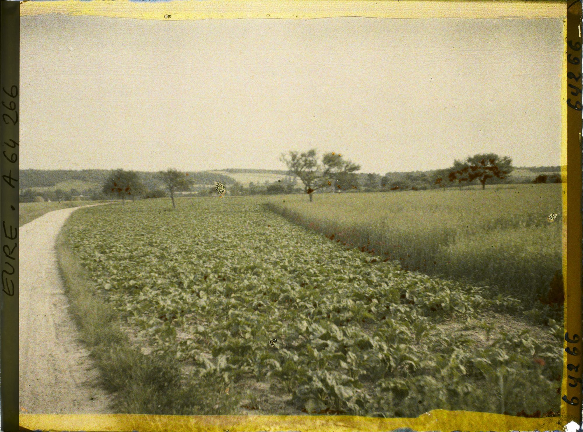 Image représentant Les cultures sur la route de Trie-Château