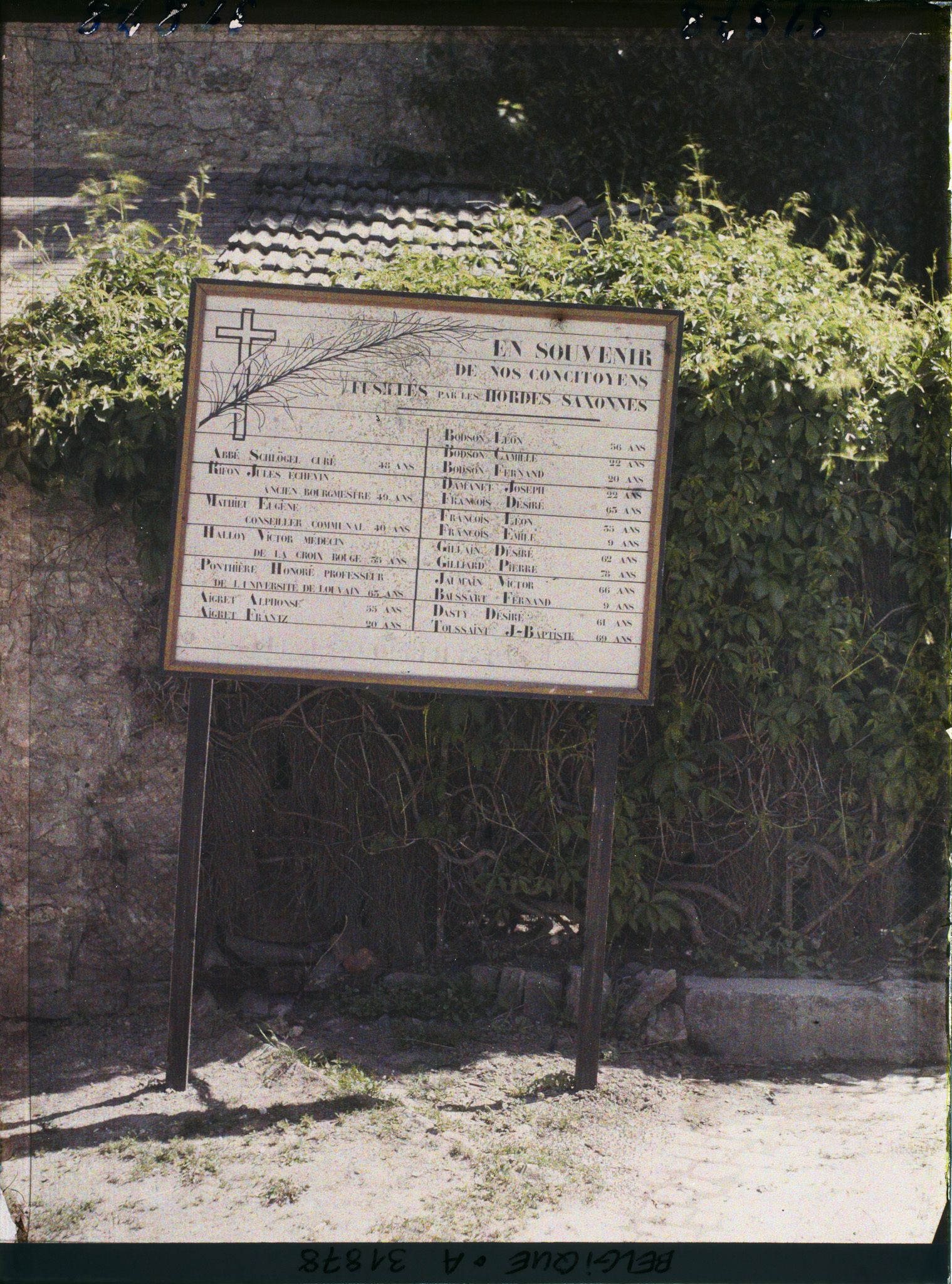Image représentant Belgique, Hastière, Emplacement où furent fusillés le 3 août 1914, vingt habitants du Village