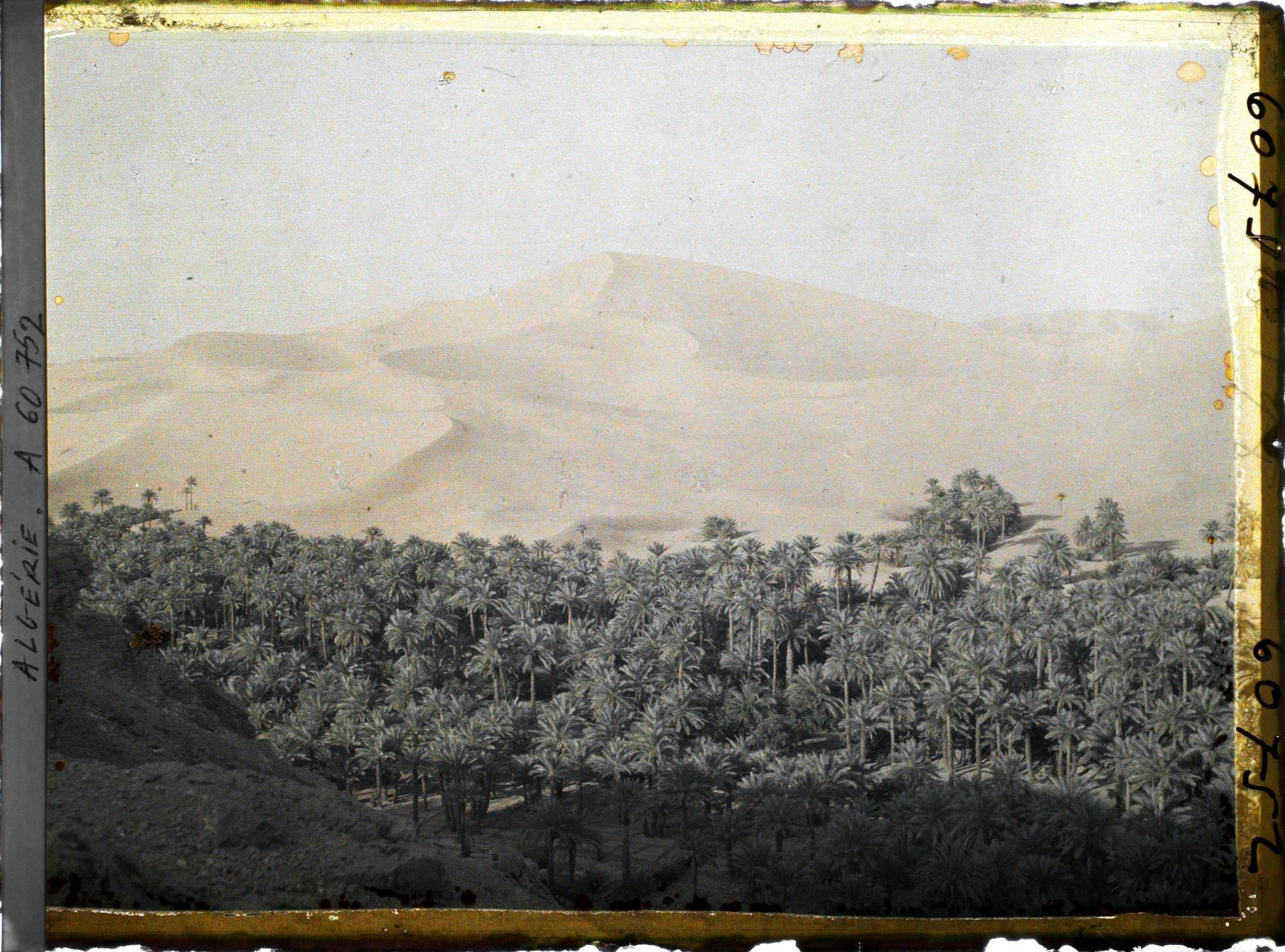 Image représentant La partie est de l'oasis, au bas de la dune