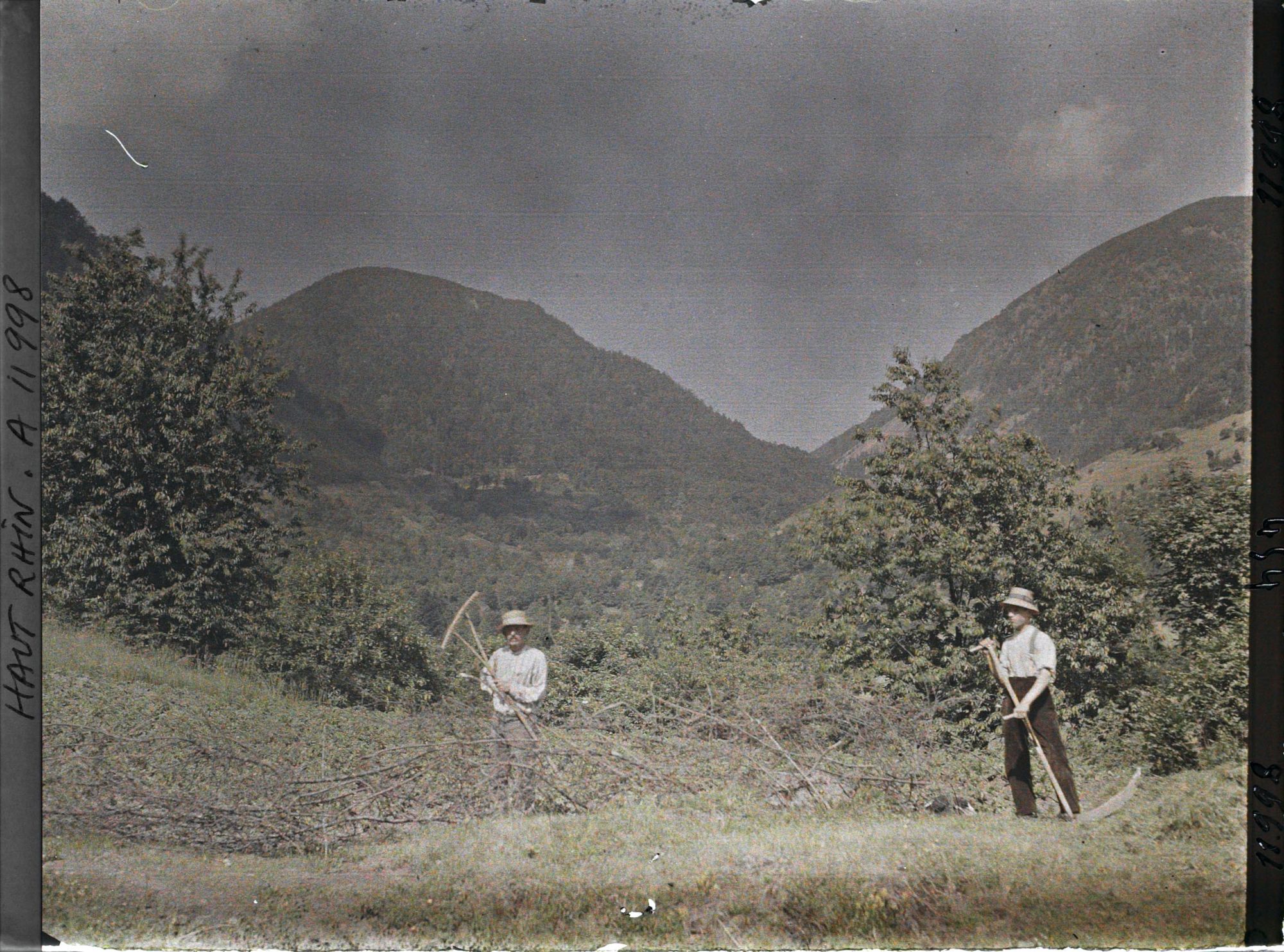 Image représentant Col de Bussang, paysans au travail