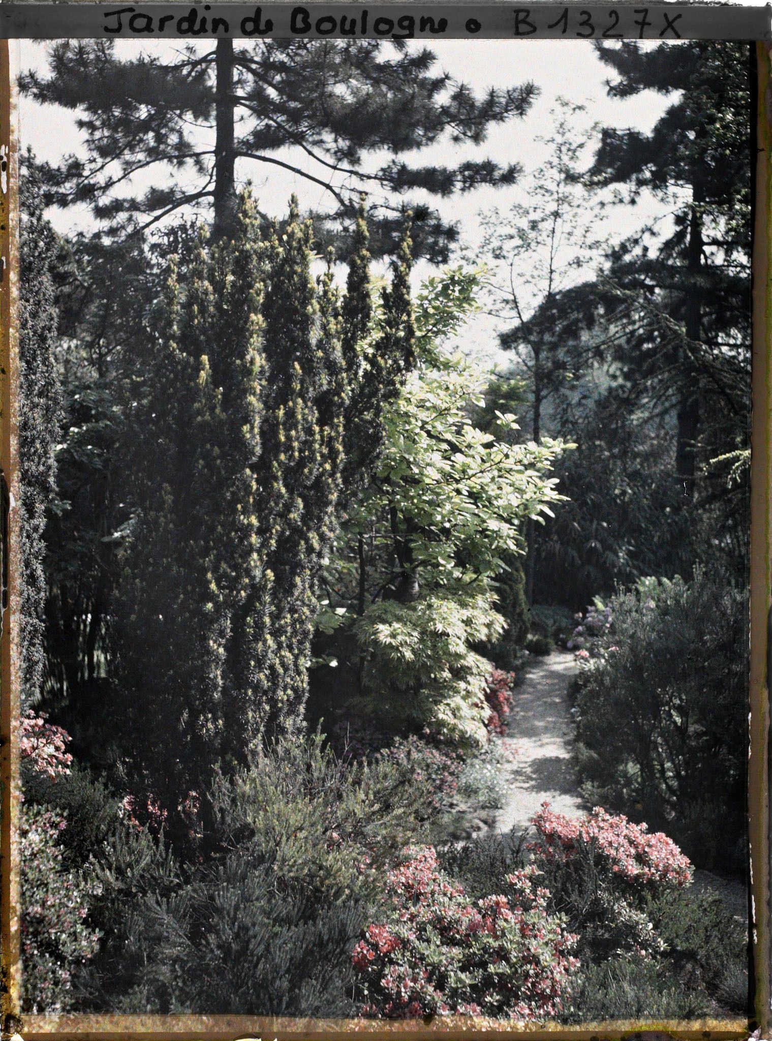 Image représentant Allée du " sanctuaire japonais " longeant le verger-roseraie, bordée d'une rocaille fleurie