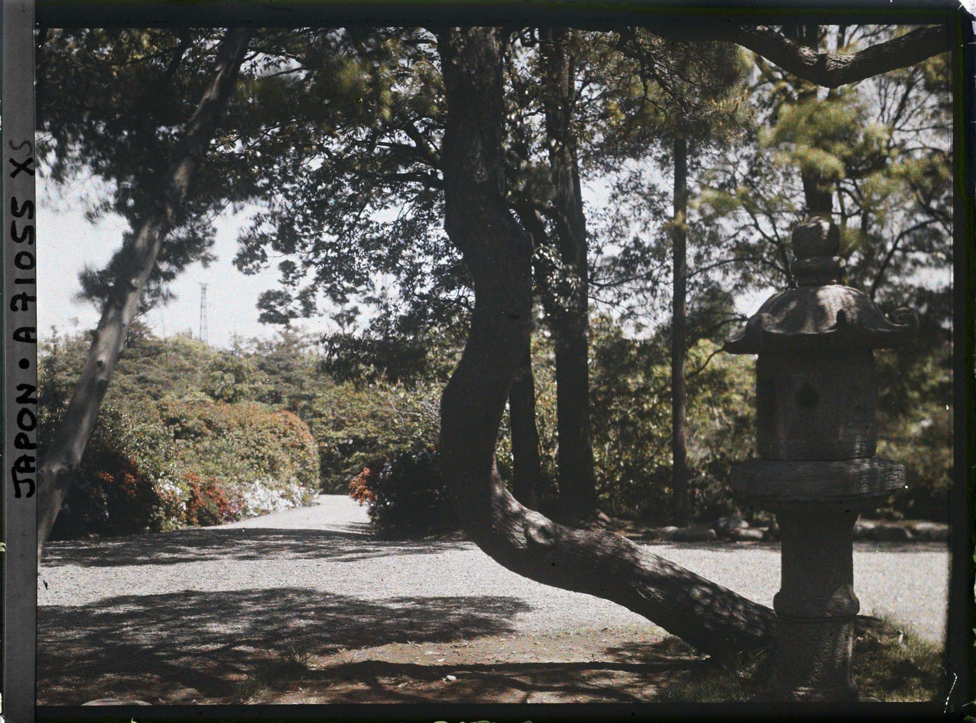 Image représentant Lanterne dans un parc
