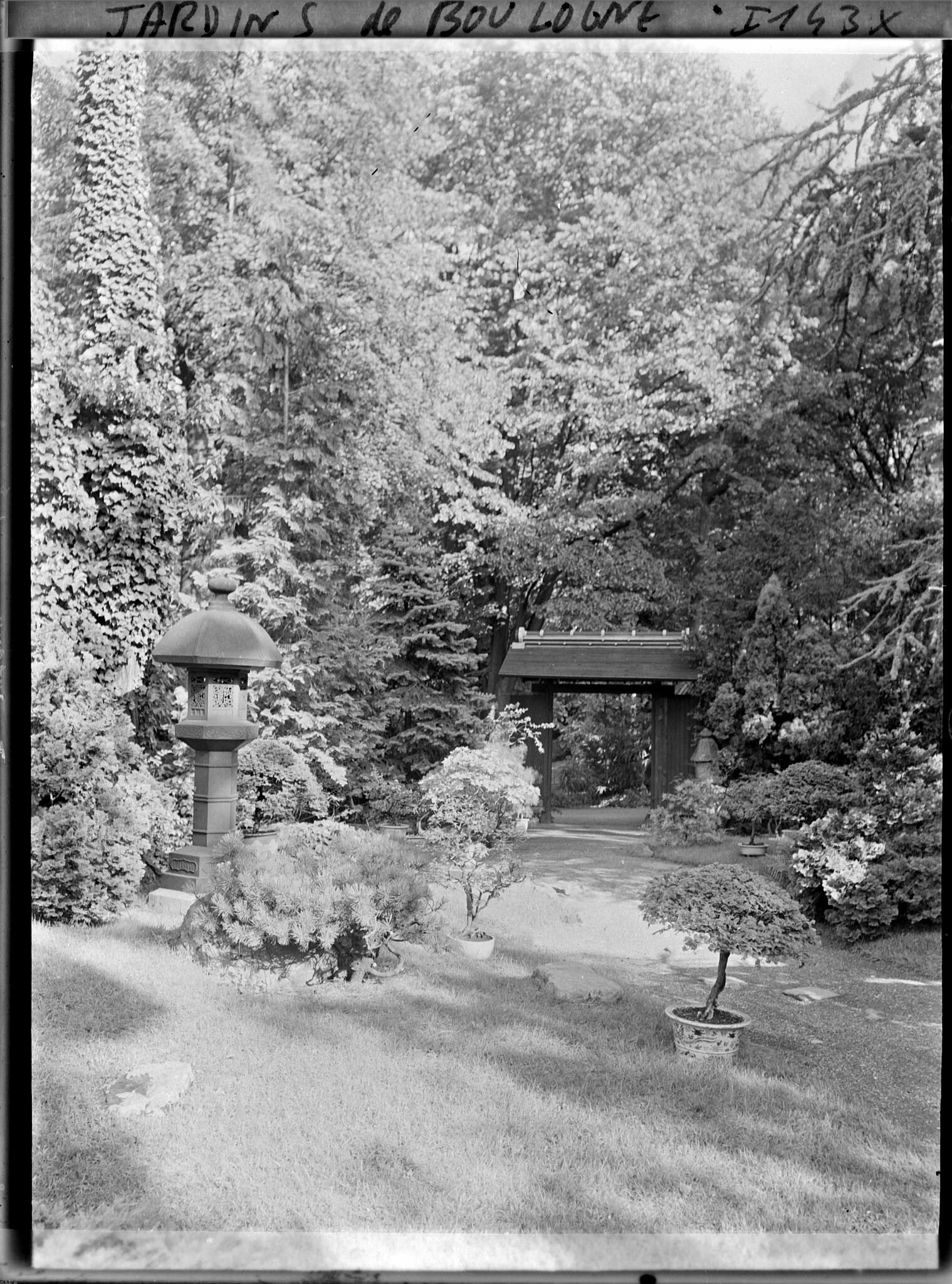 Image représentant Lanterne et bonsaïs du " village japonais ", proches de la porte ouvrant sur le jardin anglais