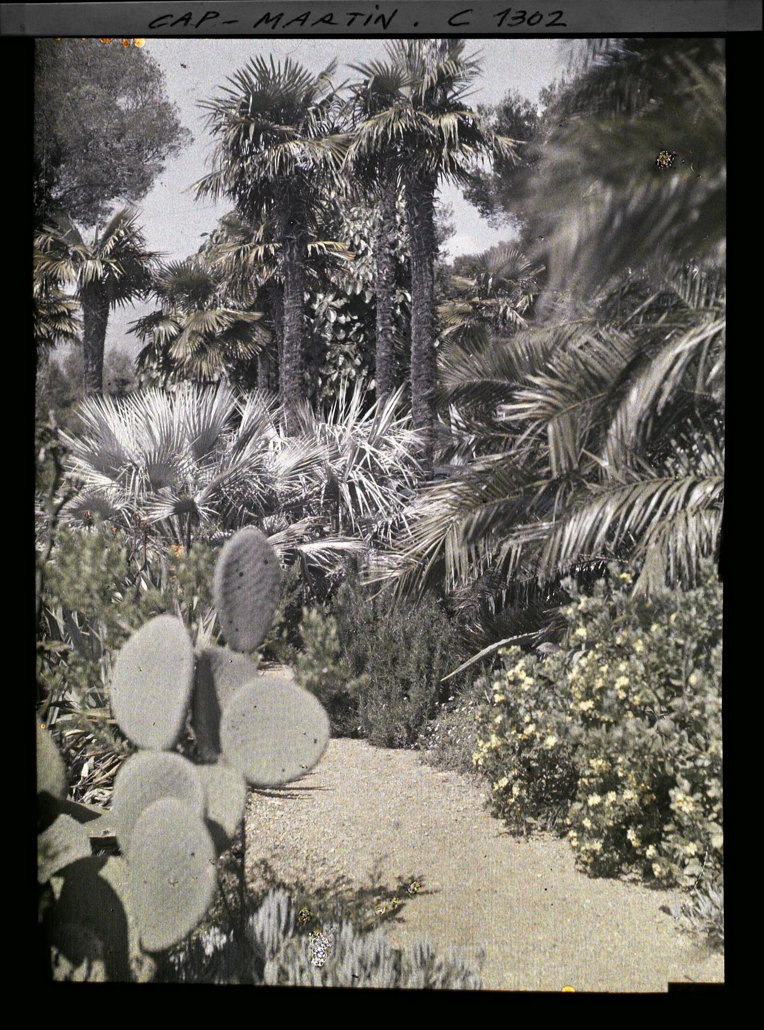 Image représentant Le Jardin