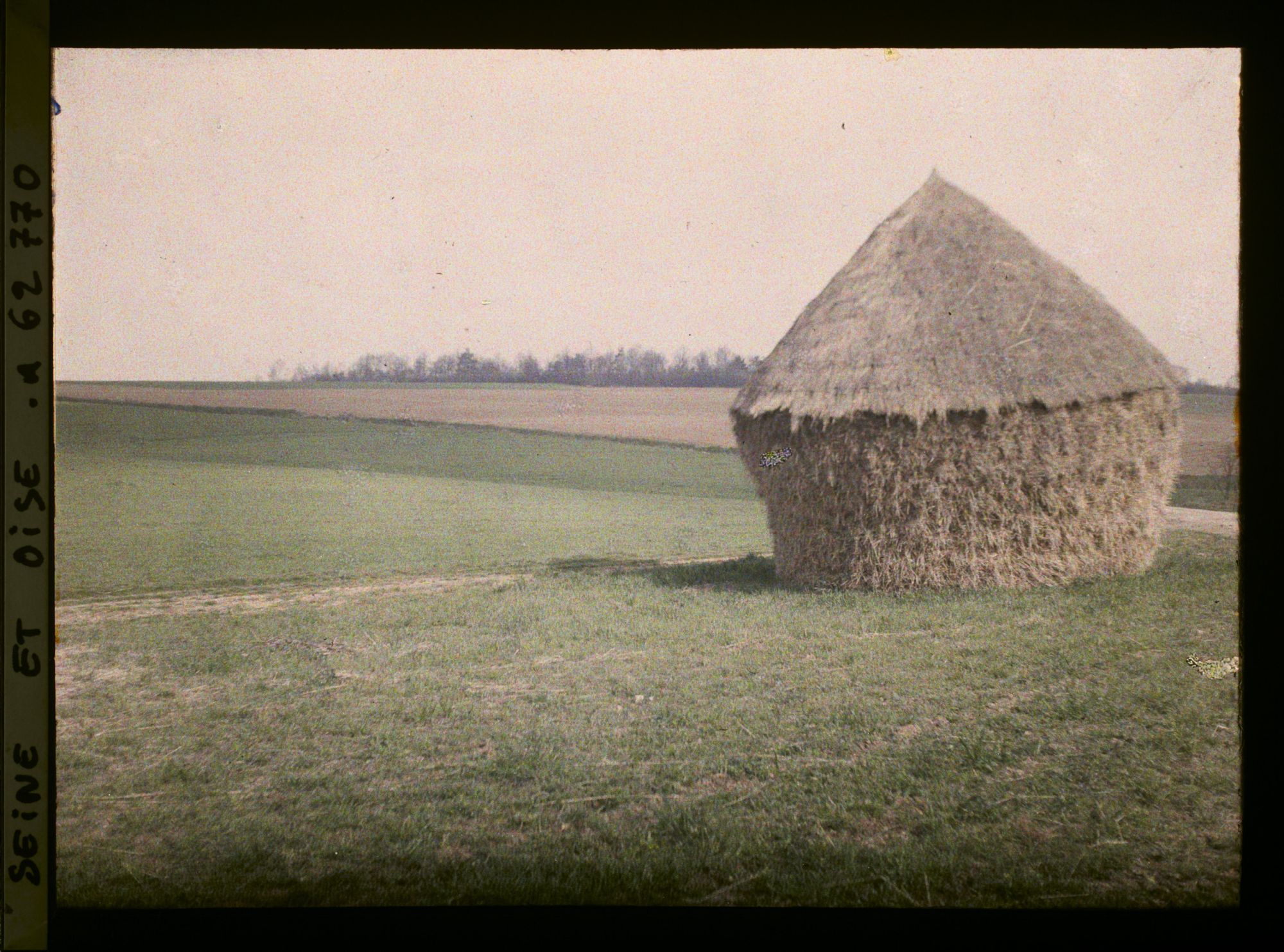 Image représentant Ile de France, Vallangoujard, Champ de seigle
