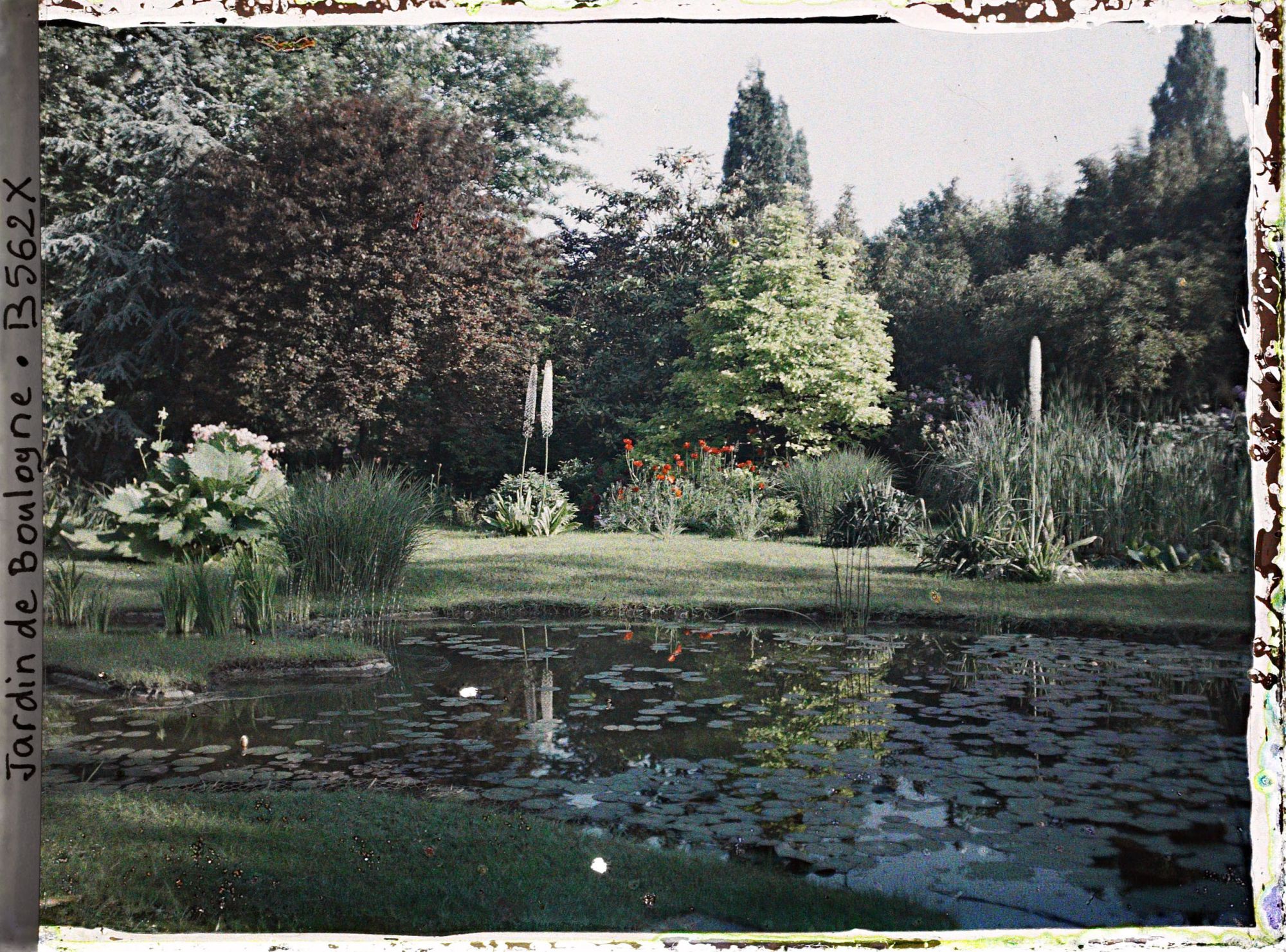Image représentant Massifs fleuris longeant l'est du marais
