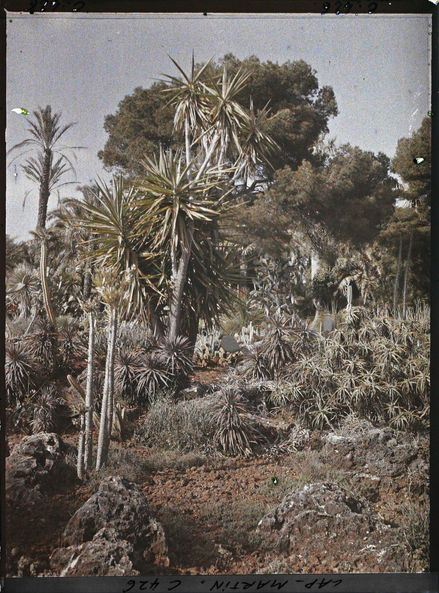Image représentant Cap Martin Le Jardin