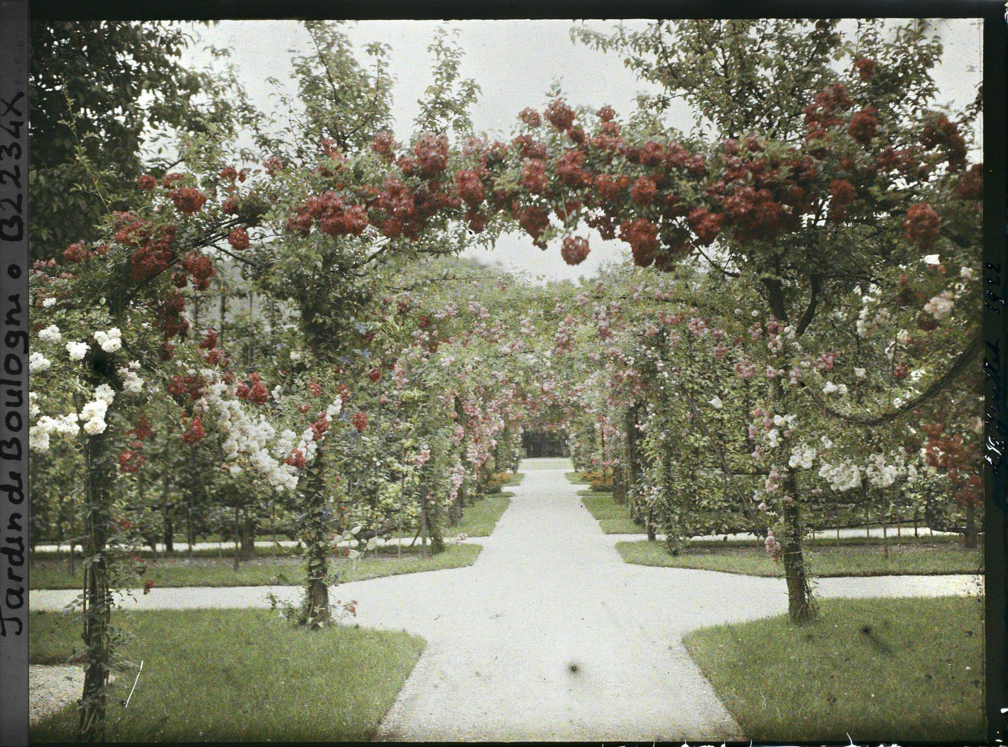 Image représentant Axe central du verger-roseraie vu vers le jardin anglais, depuis le second carrefour côté dépendance
