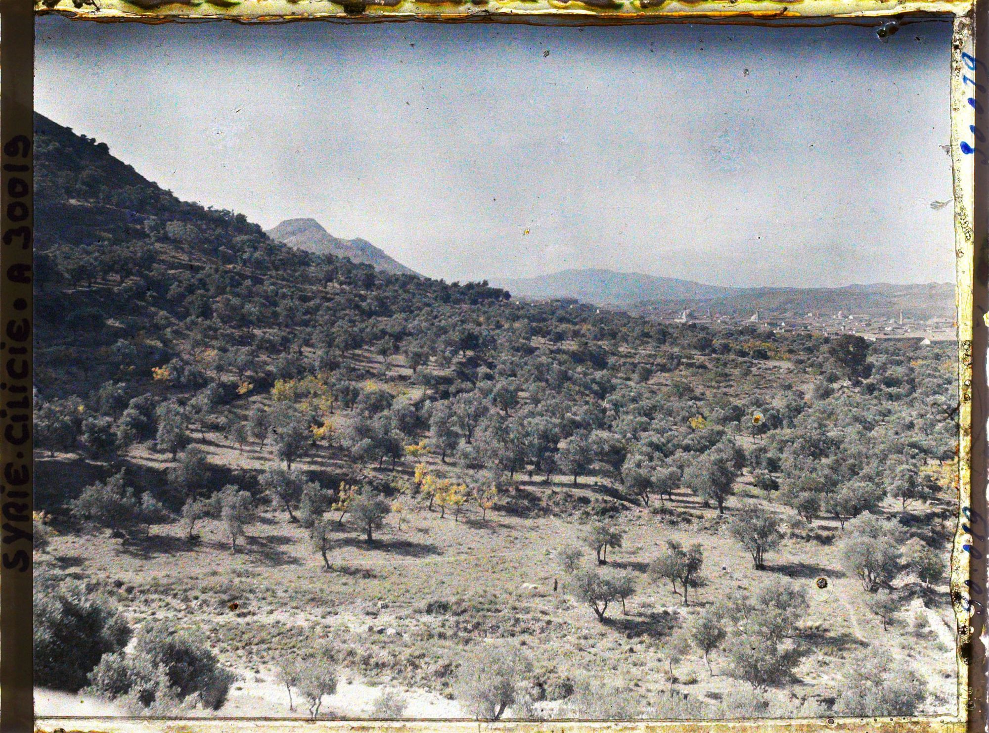 Image représentant Panorama sur la plaine d'Antioche