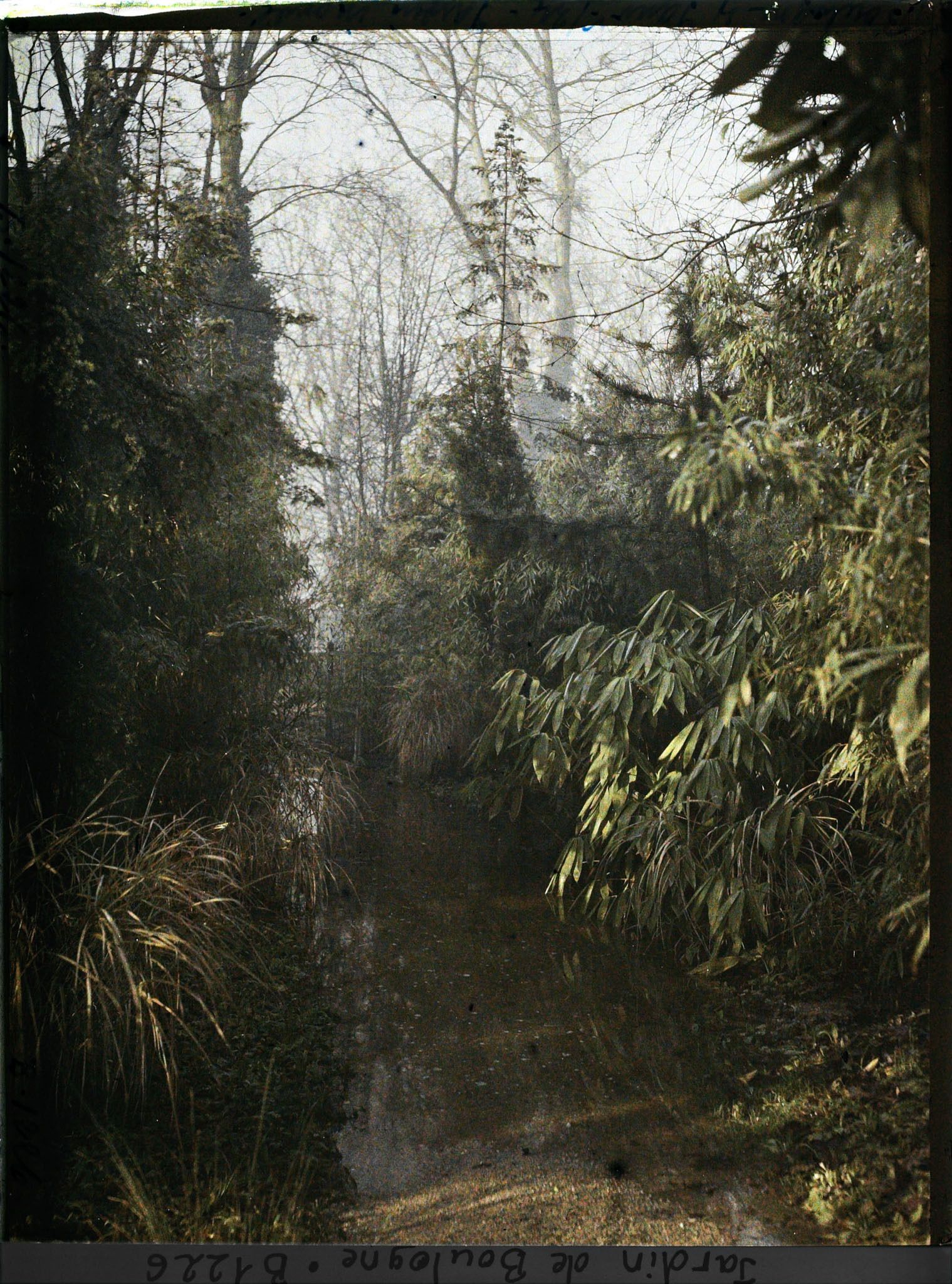 Image représentant bambous les pieds dans l'eau lors des inondations