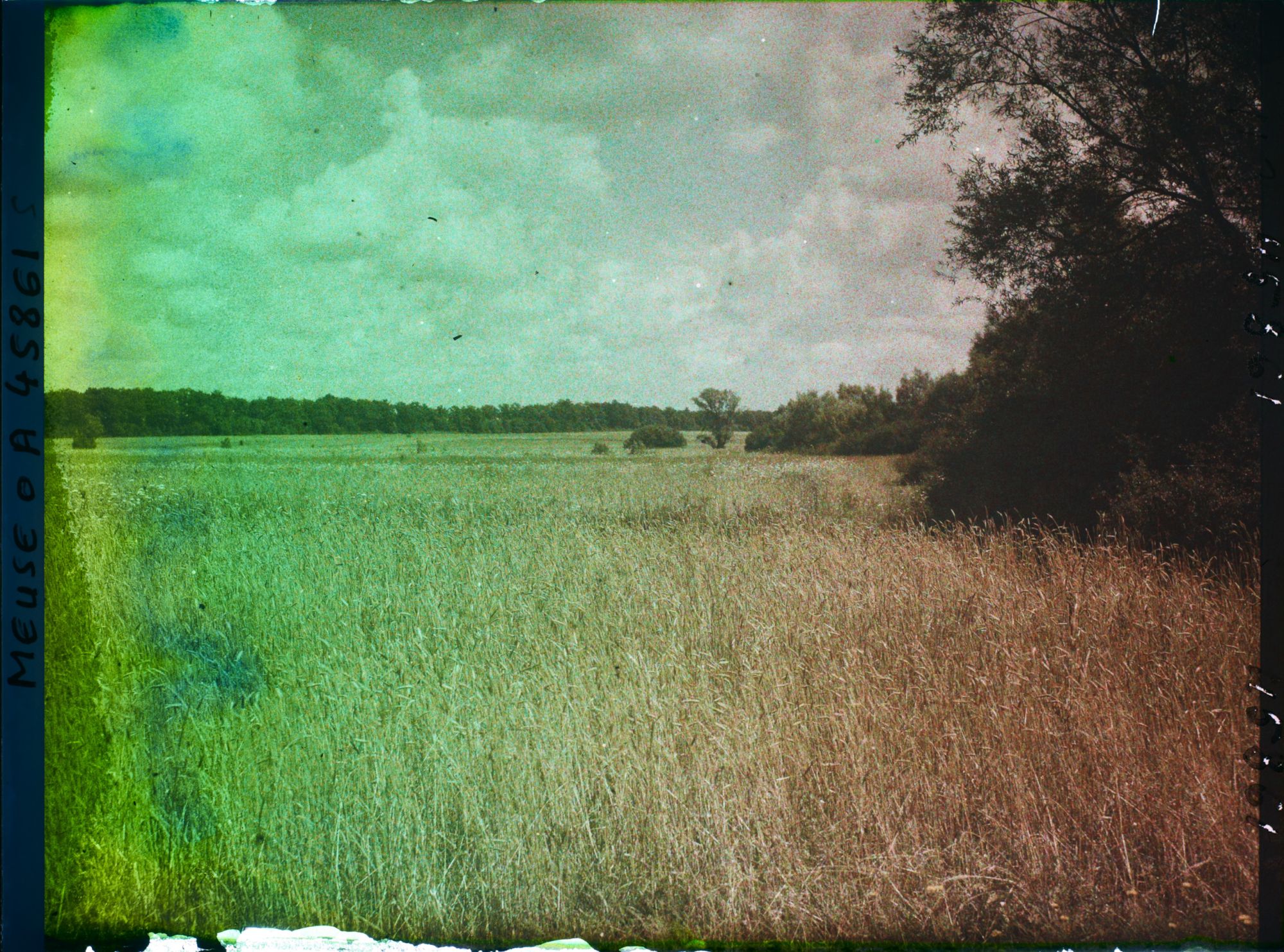 Image représentant France, Montsec, Champ de Blé