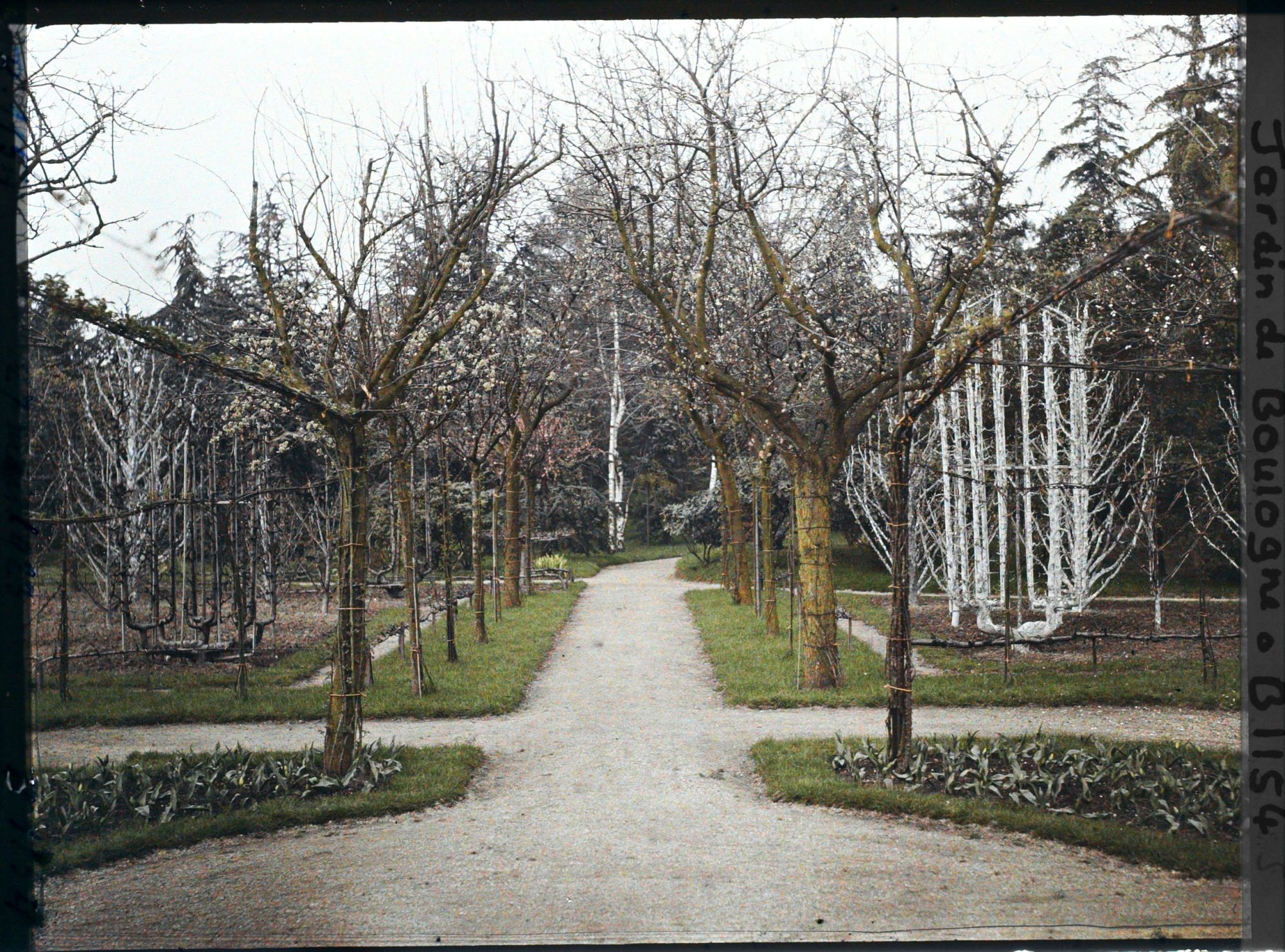 Image représentant Allée du verger-roseraie menant à la forêt bleue, depuis le rond-point proche du jardin français