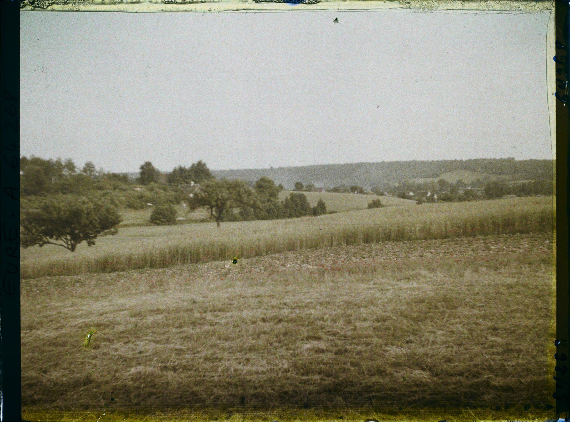 Image représentant Champs de blé en avant de Trie-Château
