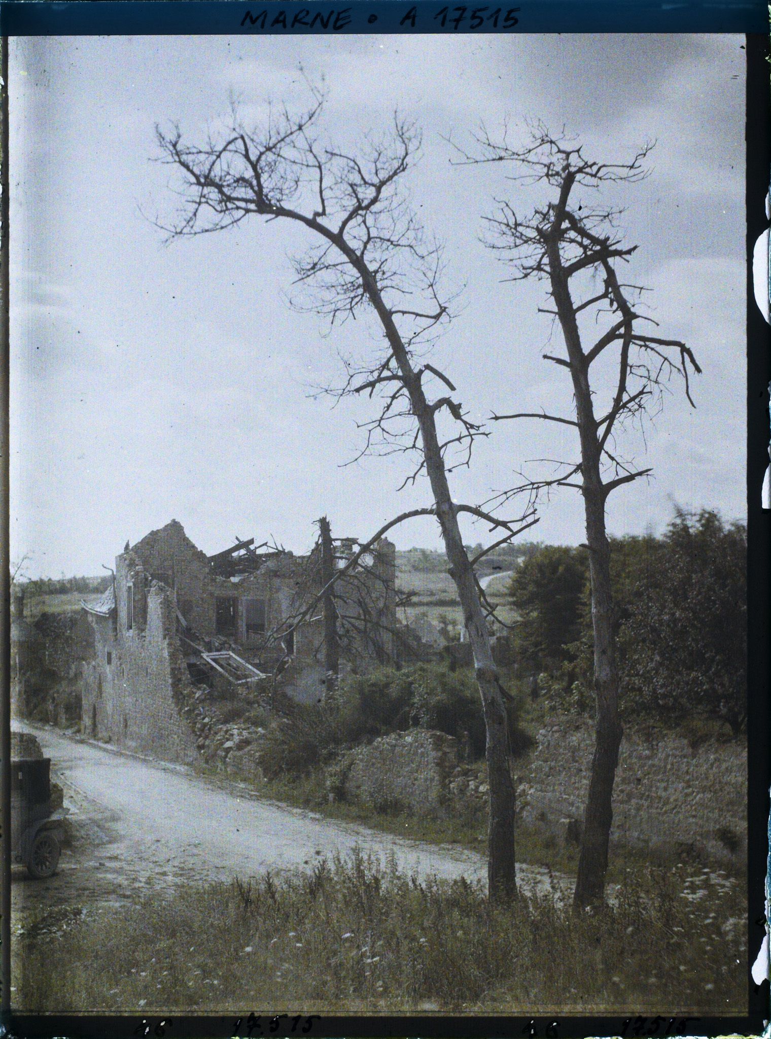Image représentant France, Thil, Ruines avec Arbre mort, vue prise de l'Eglise.