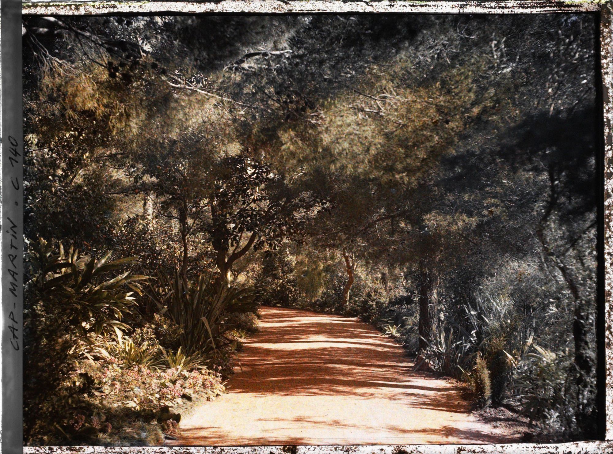 Image représentant Cap Martin - Le Jardin