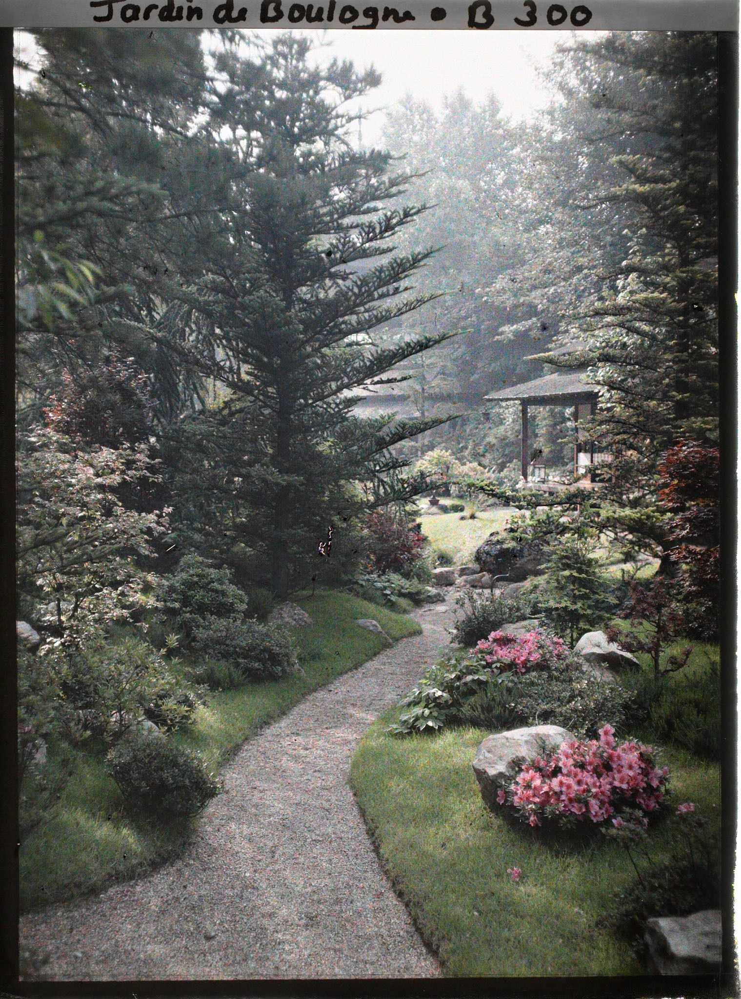 Image représentant Étroit chemin ombragé, orné de pierres et d'azalées, menant à la maison ouest du " village japonais "