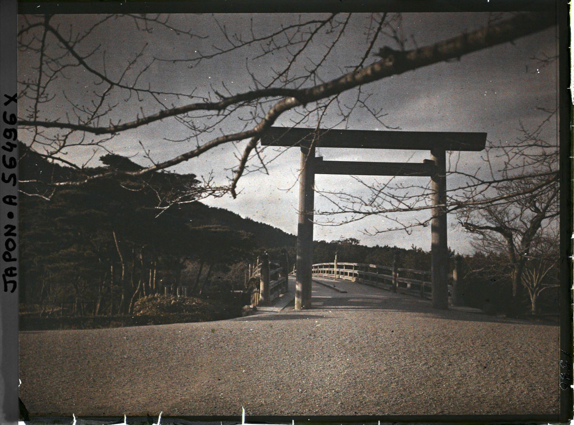 Image représentant Sanctuaire Ise Jingû : le pont Uji-bashi et son torii