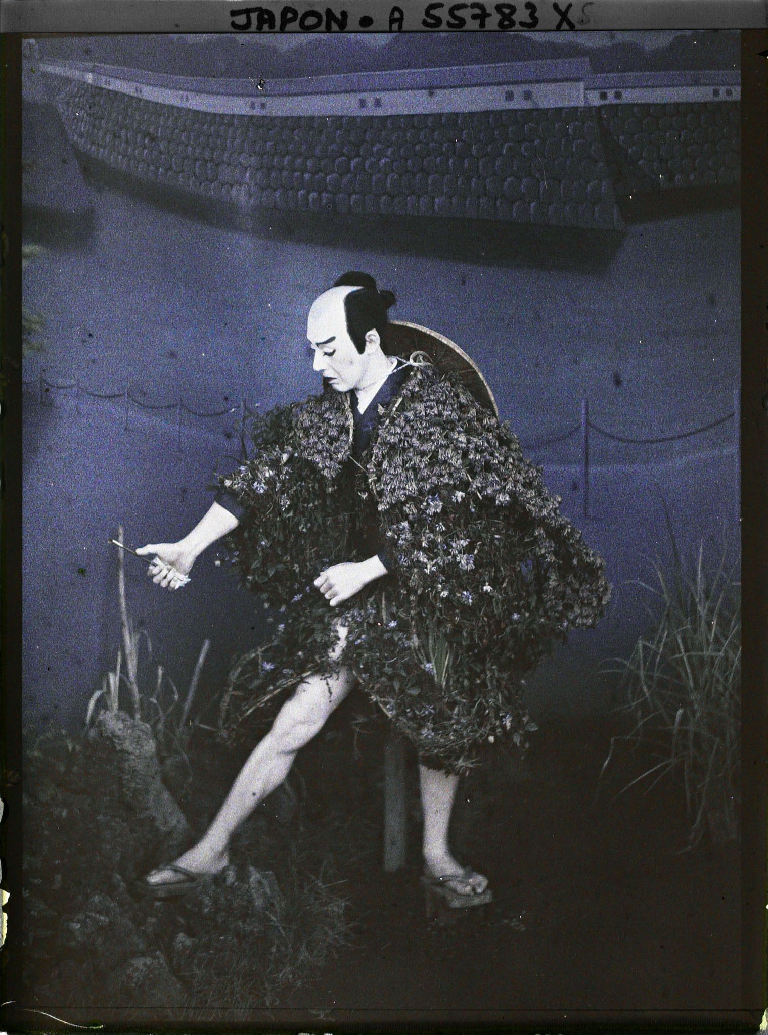 Image représentant jardin Horikiri : ningyô (poupée) exposée durant la floraison des iris