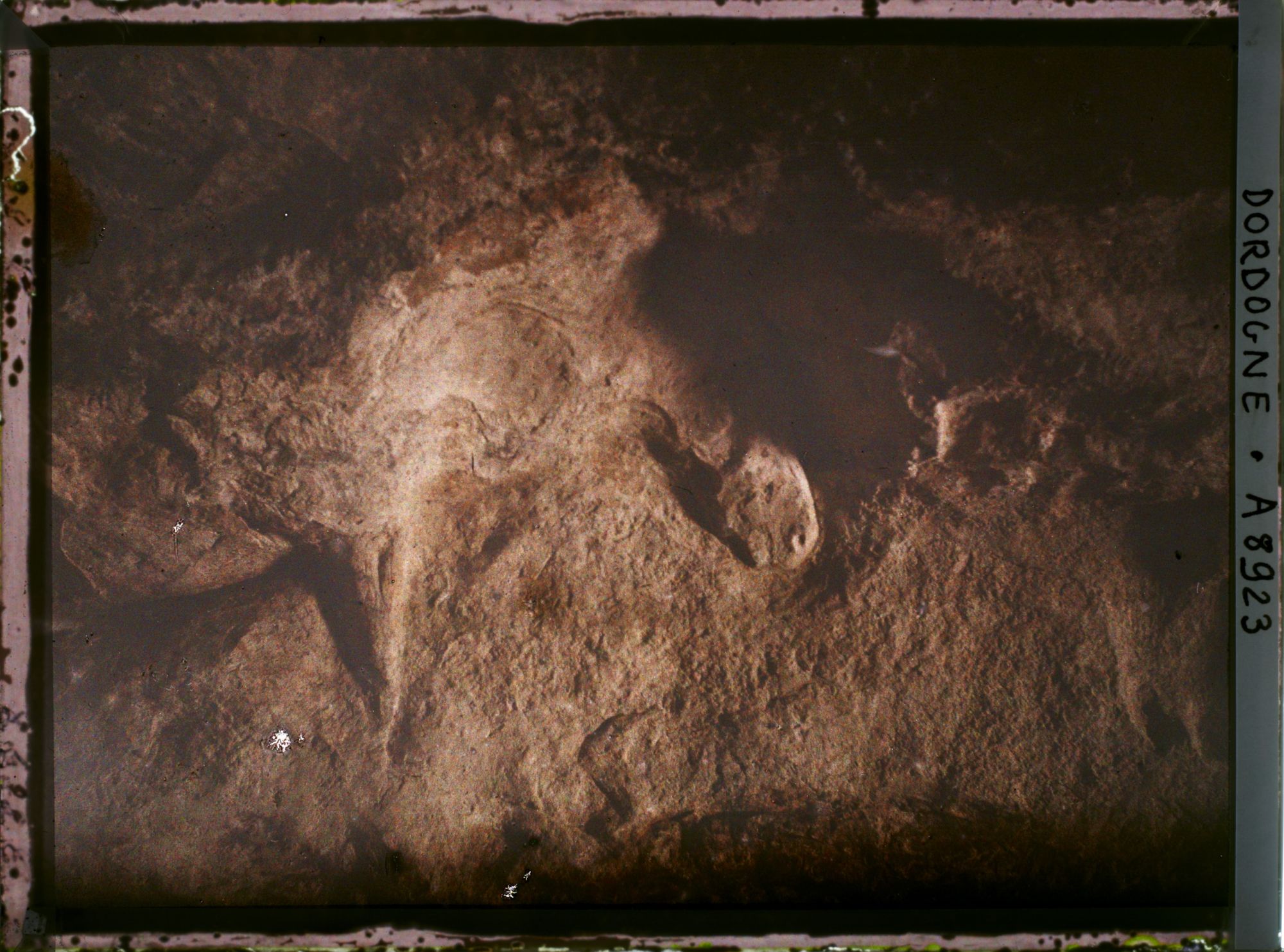 Image représentant Abri de Laussel