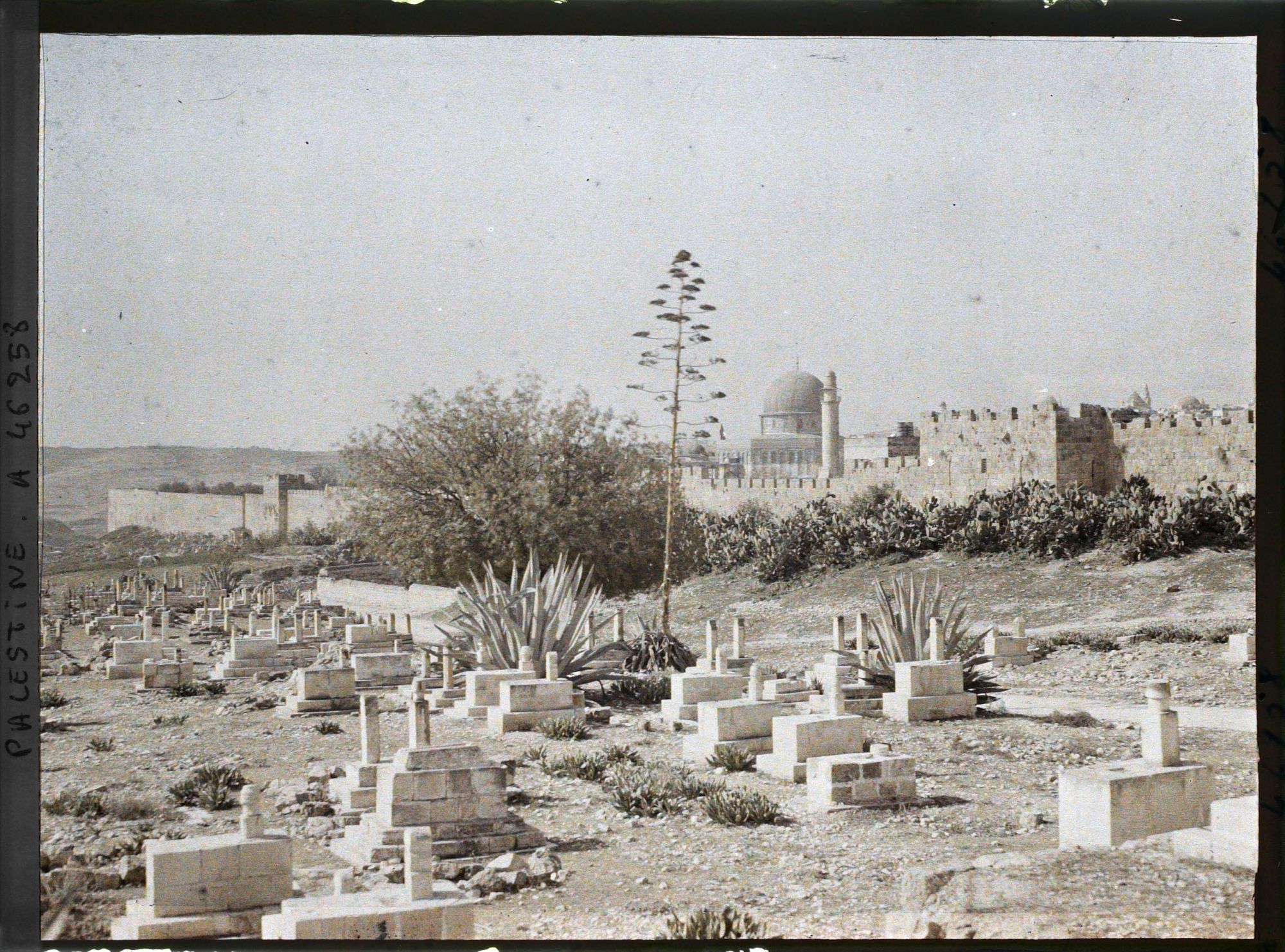 Image représentant Vue de la vieille ville depuis le cimetière musulman