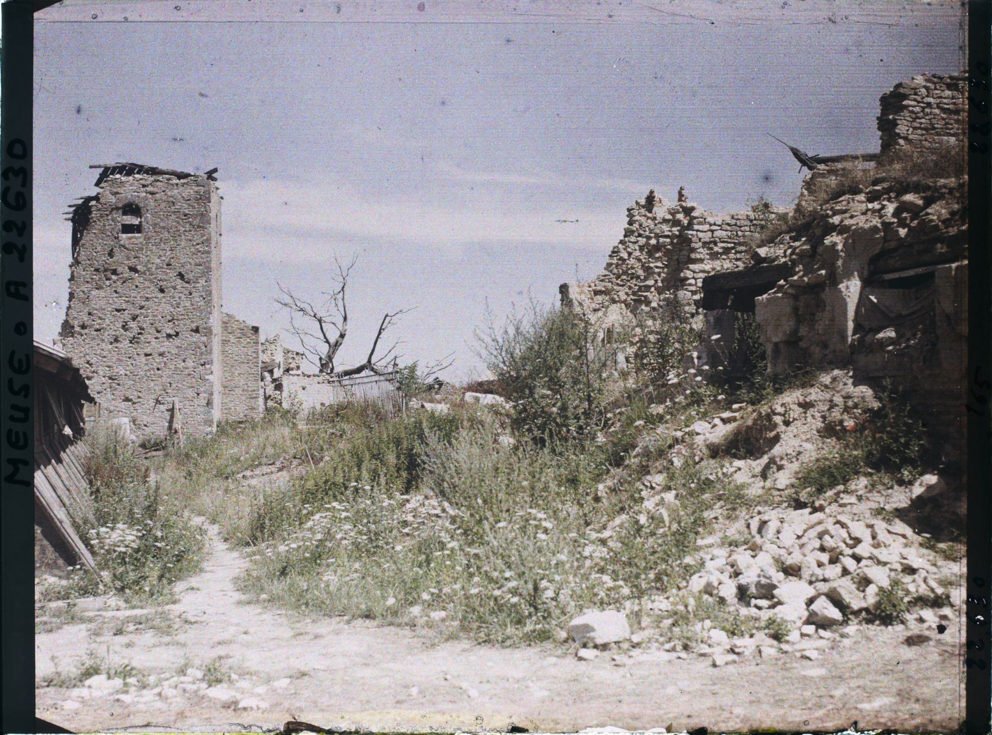 Image représentant France, Marre, Ruines de l'Eglise
