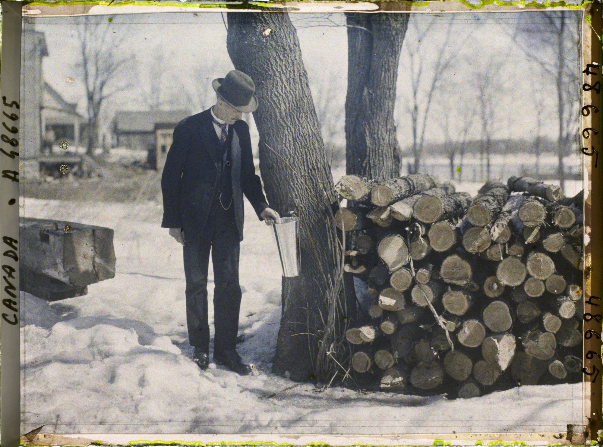 Image représentant Canada, Laval Des Rapides, Récolte du sucre d'érable