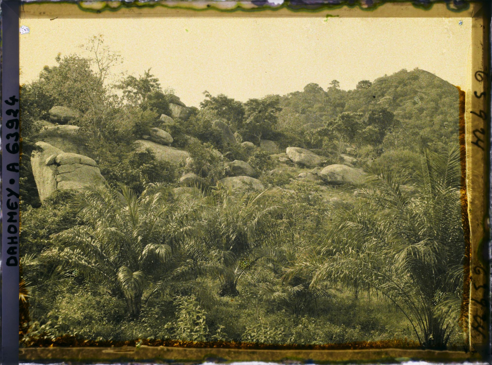 Image représentant Paysage en montagne