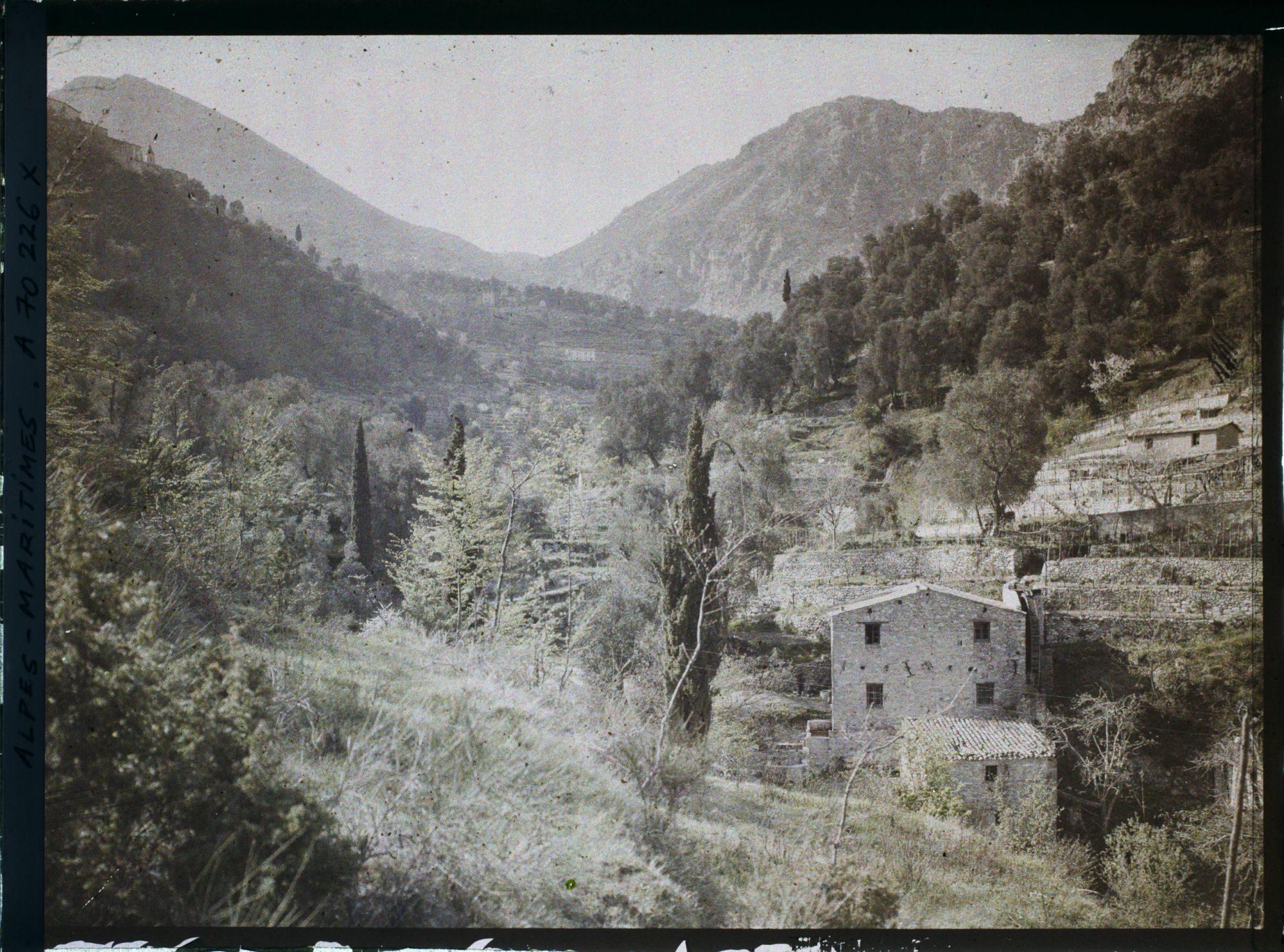 Image représentant Habitation et cultures en terrasses dans la vallée arborée