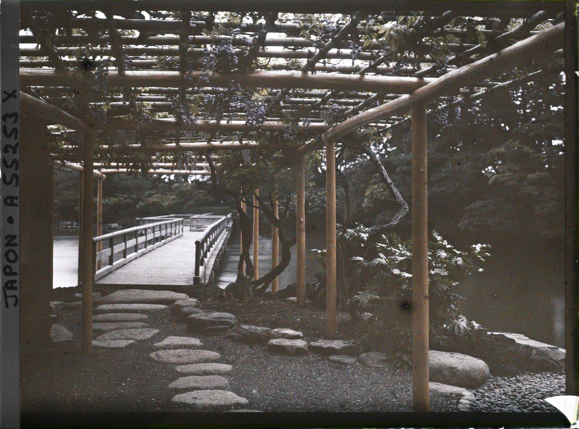 Image représentant jardin Hama-rikyû koen