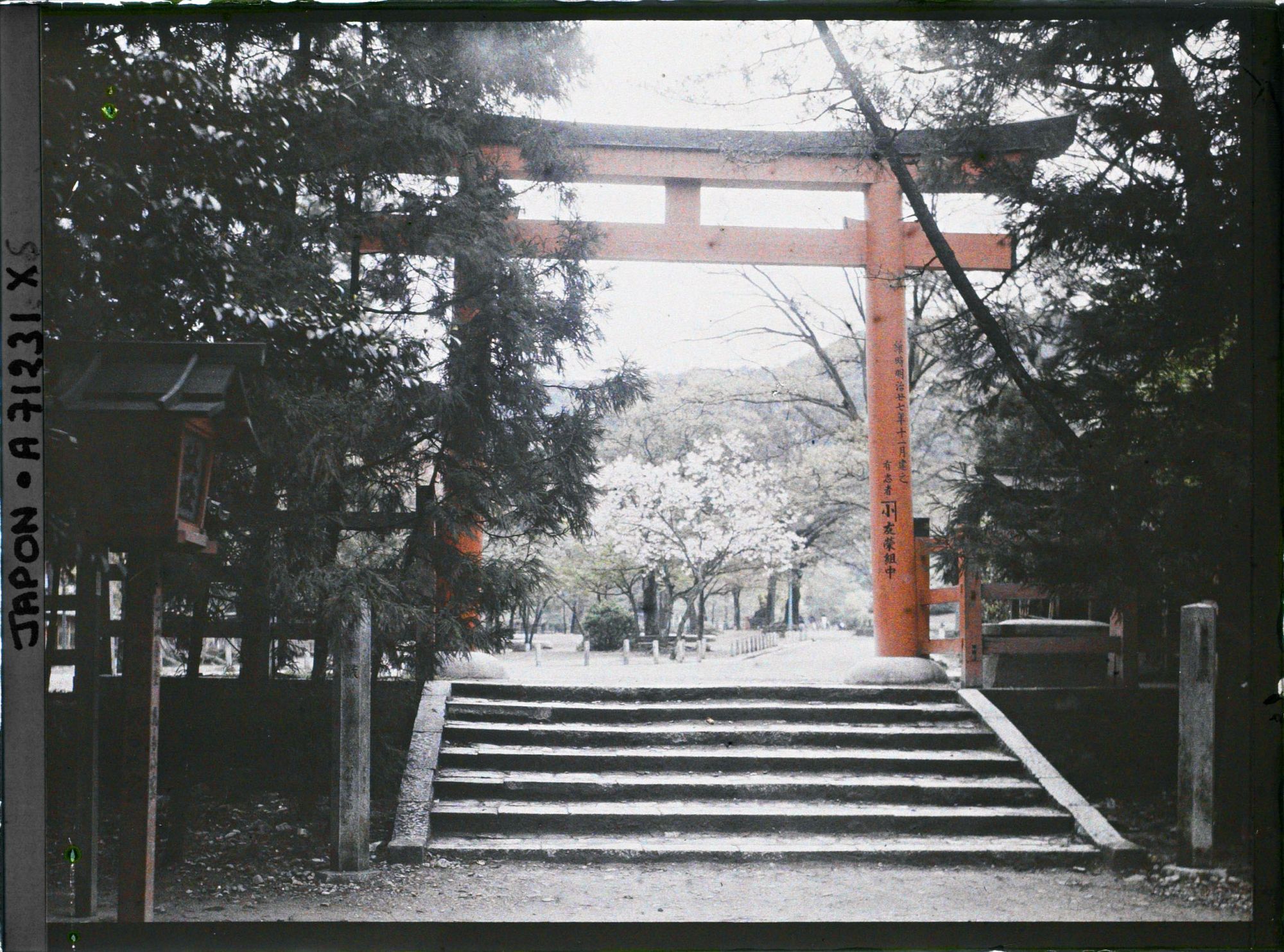 Image représentant Torii dans un sanctuaire