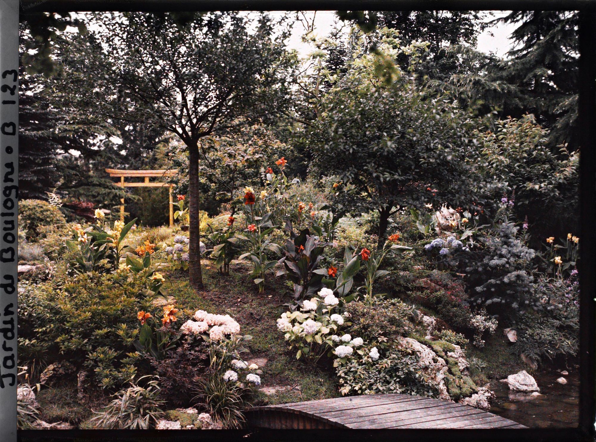Image représentant Torii du " sanctuaire japonais " au sommet de la rive fleurie d'un cours d'eau