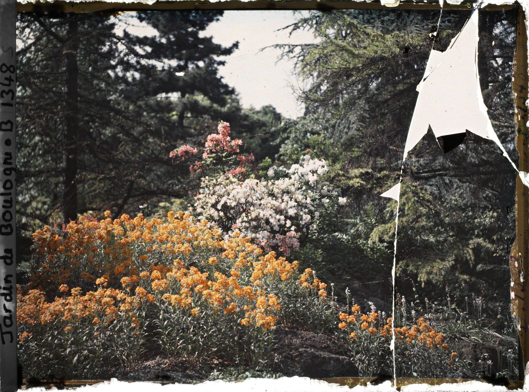 Image représentant Massif fleuri du " sanctuaire japonais " situé entre le " village japonais " et le sorinto