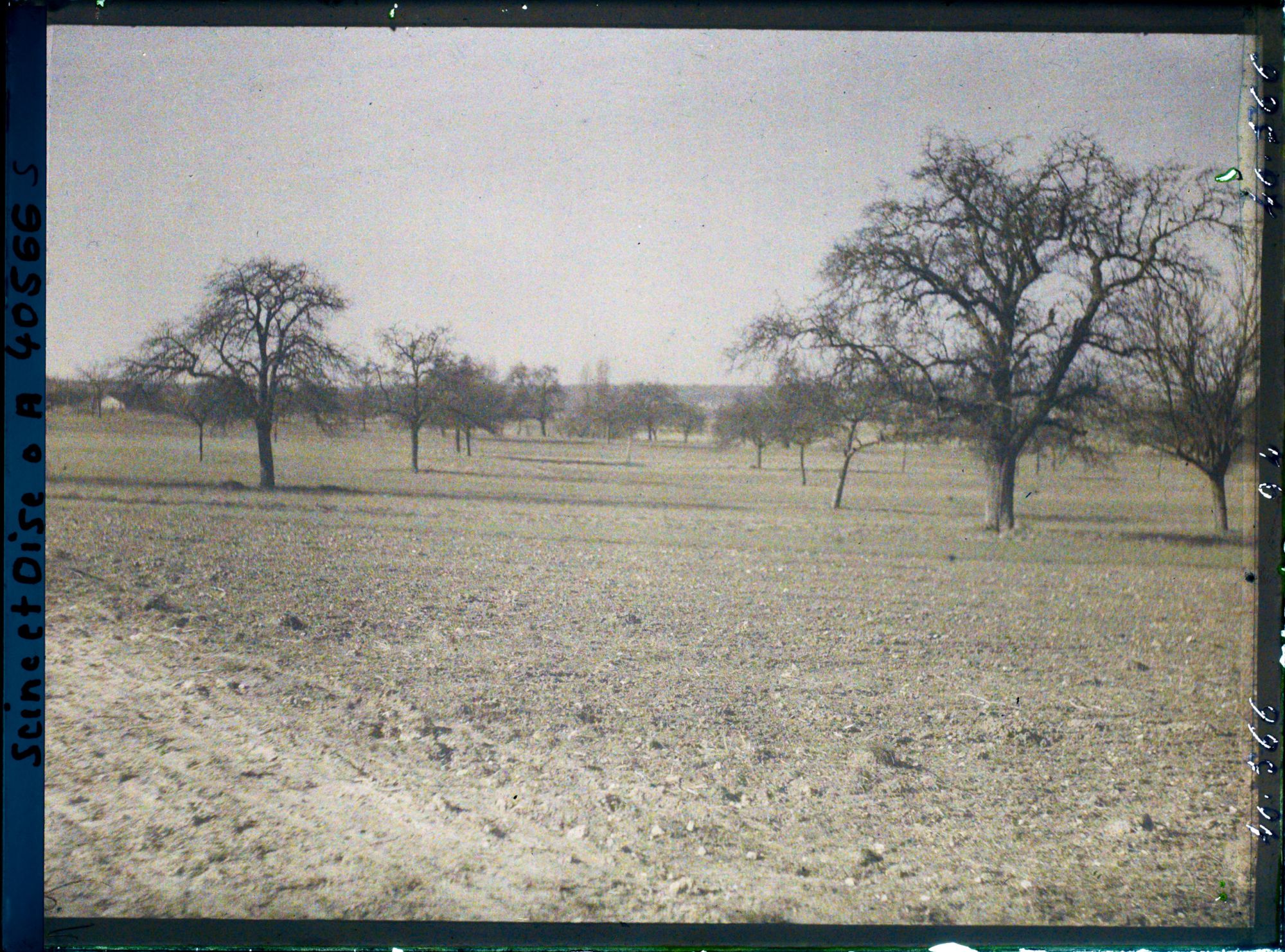 Image représentant France, Les Clayes, Champs et Pommiers