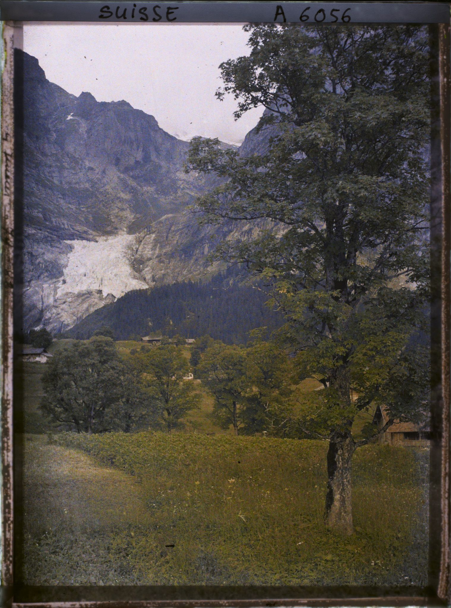 Image représentant Panorama de Grindelwald et le glacier supérieur de Grindelwald