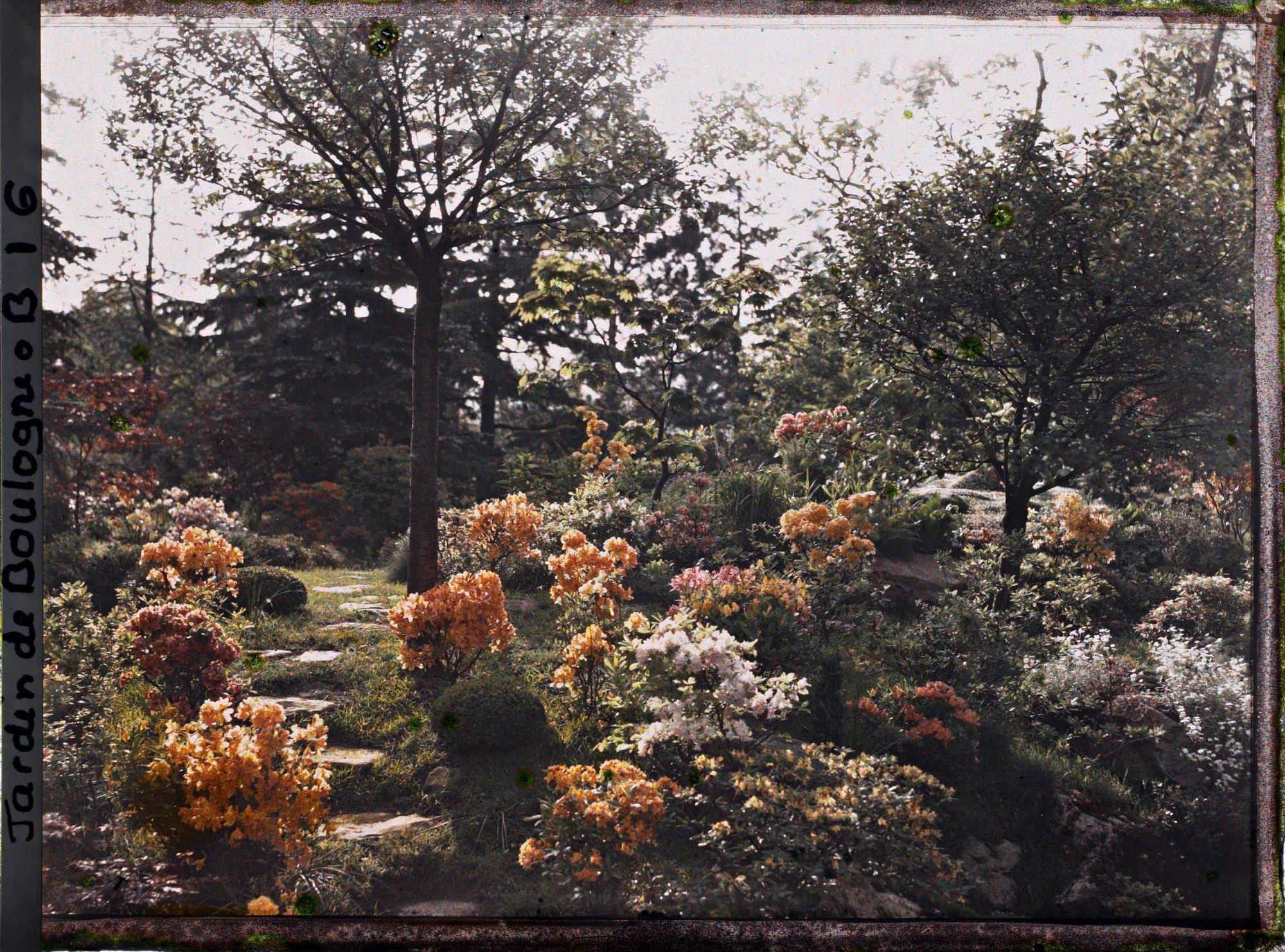 Image représentant Pas japonais sur une butte du " sanctuaire japonais " ornée d'azalées en fleurs