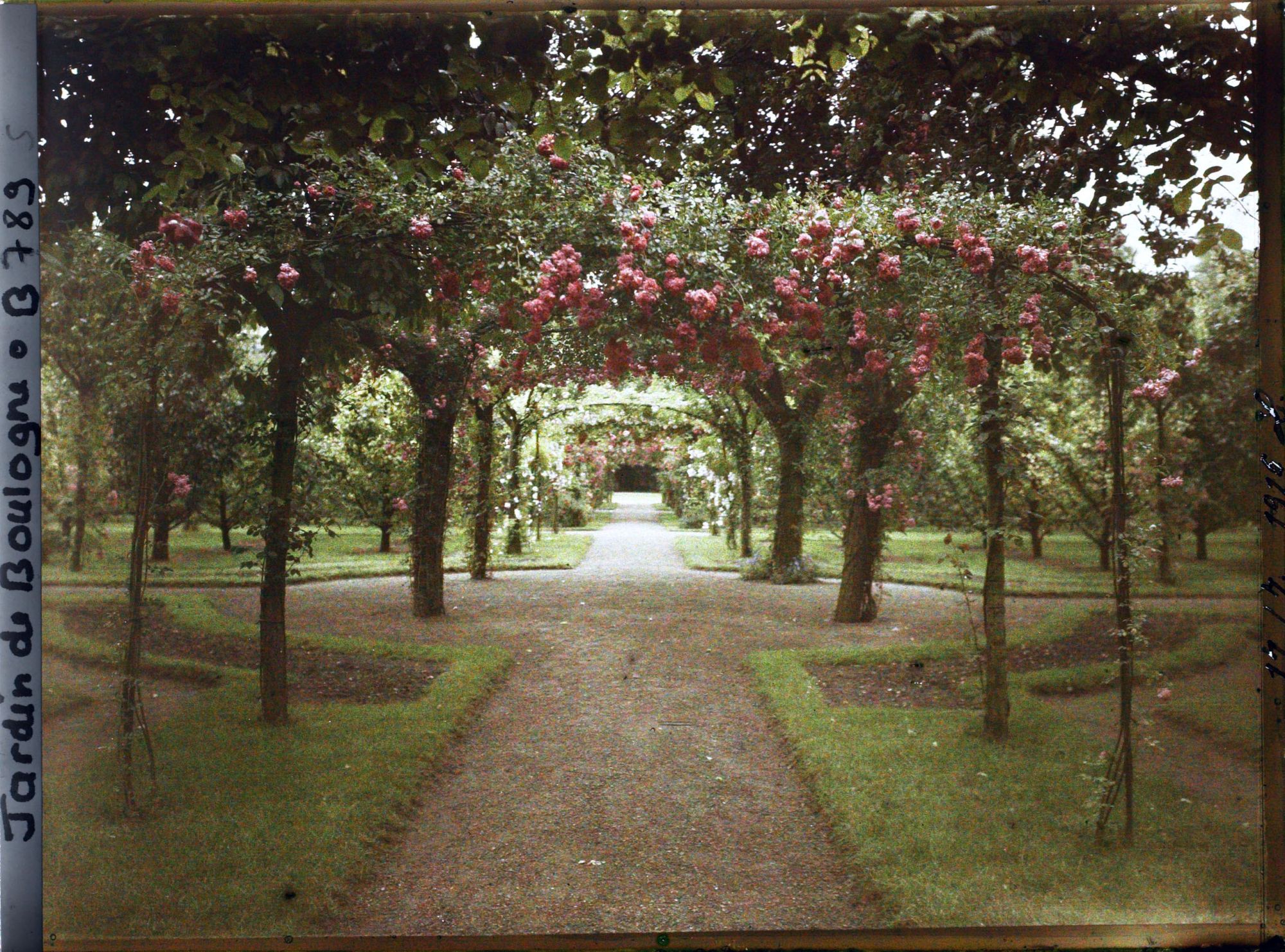 Image représentant Axe central du verger-roseraie vu en direction du jardin anglais, près du rond-point côté dépendance