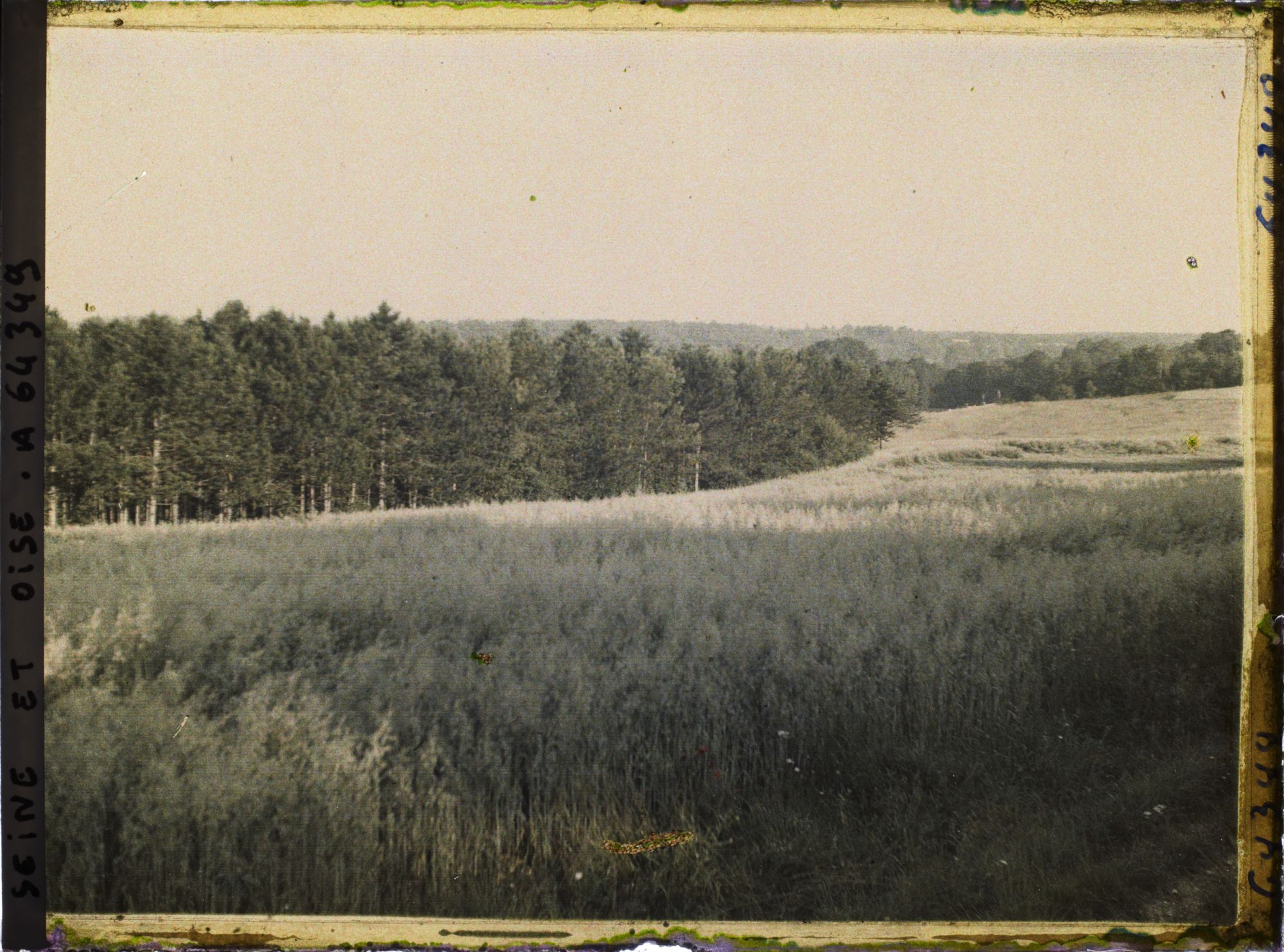 Image représentant Ile de France, Vallangoujard, Champ de blé