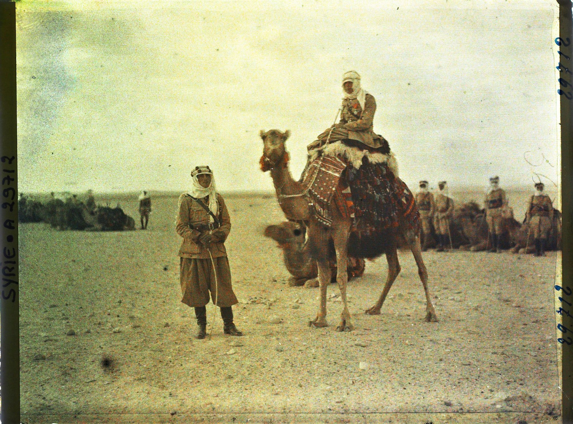 Image représentant Officier des troupes françaises Méharis à dromadaire